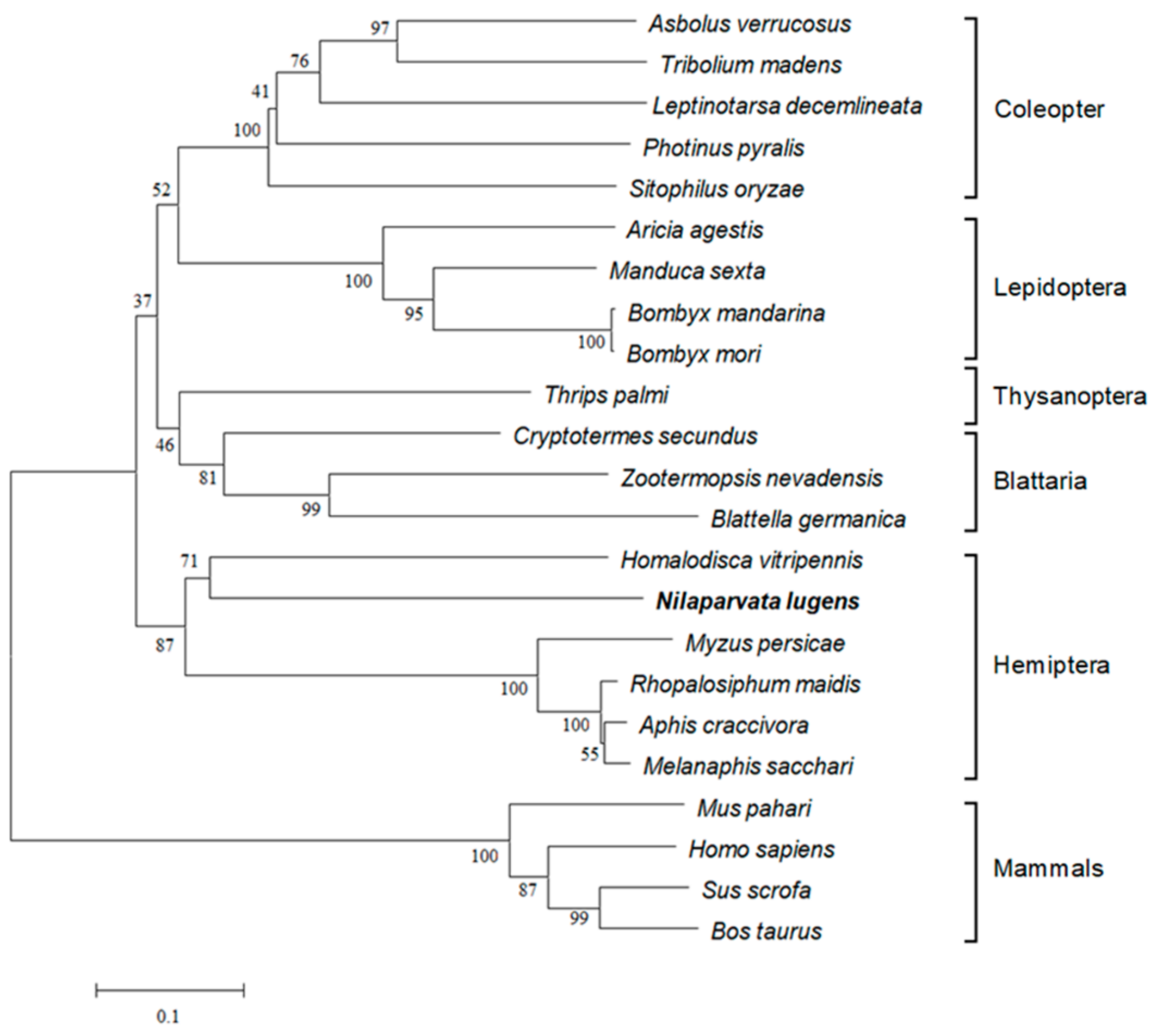 Insects 13 00303 g002 Insects 13 00303 g002