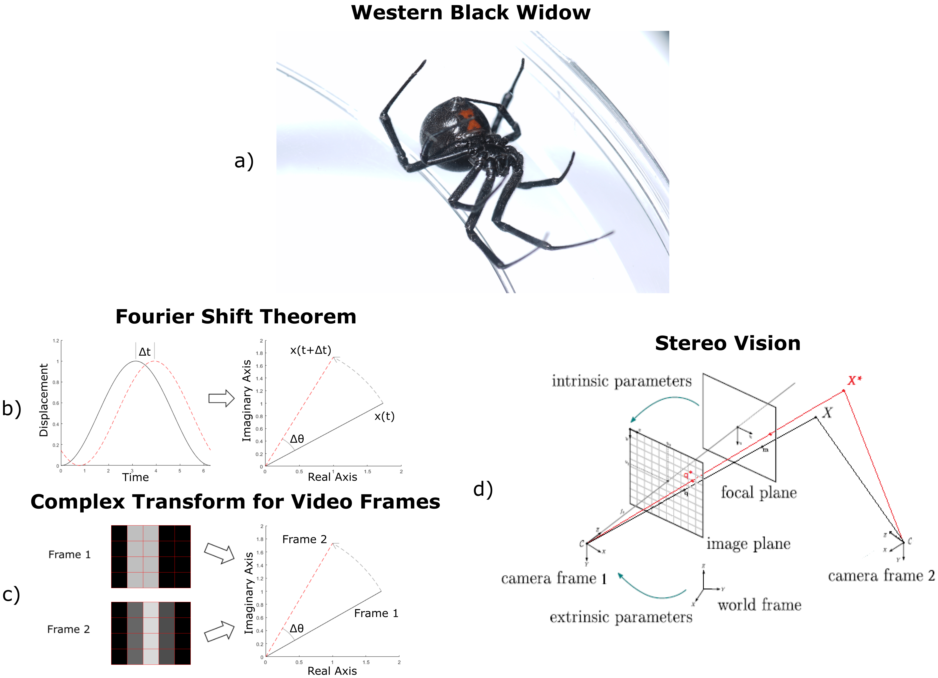 Why sexy, spidery cobweb fashion is going to be everywhere post-pandemic