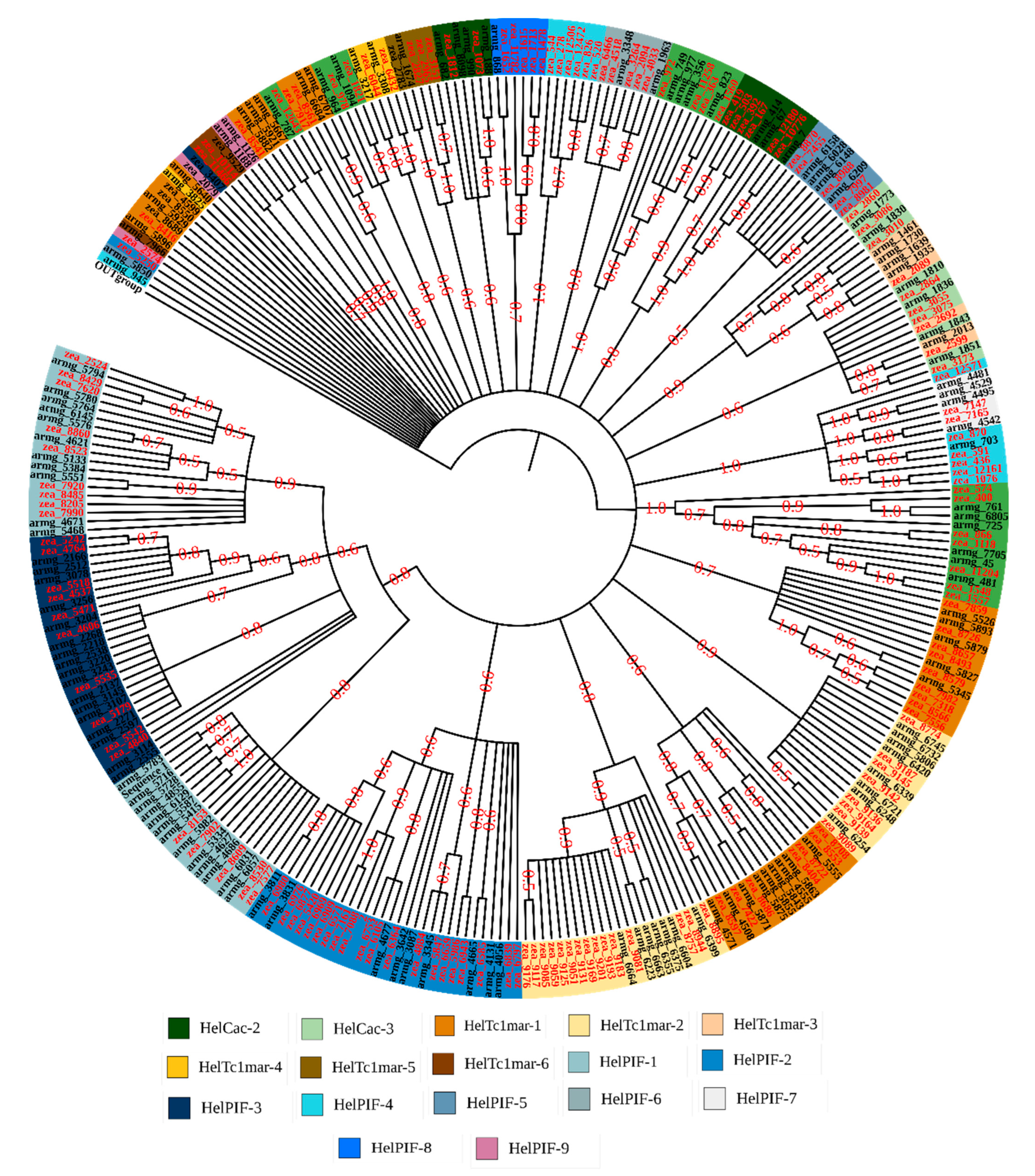 Insects 13 00313 g001