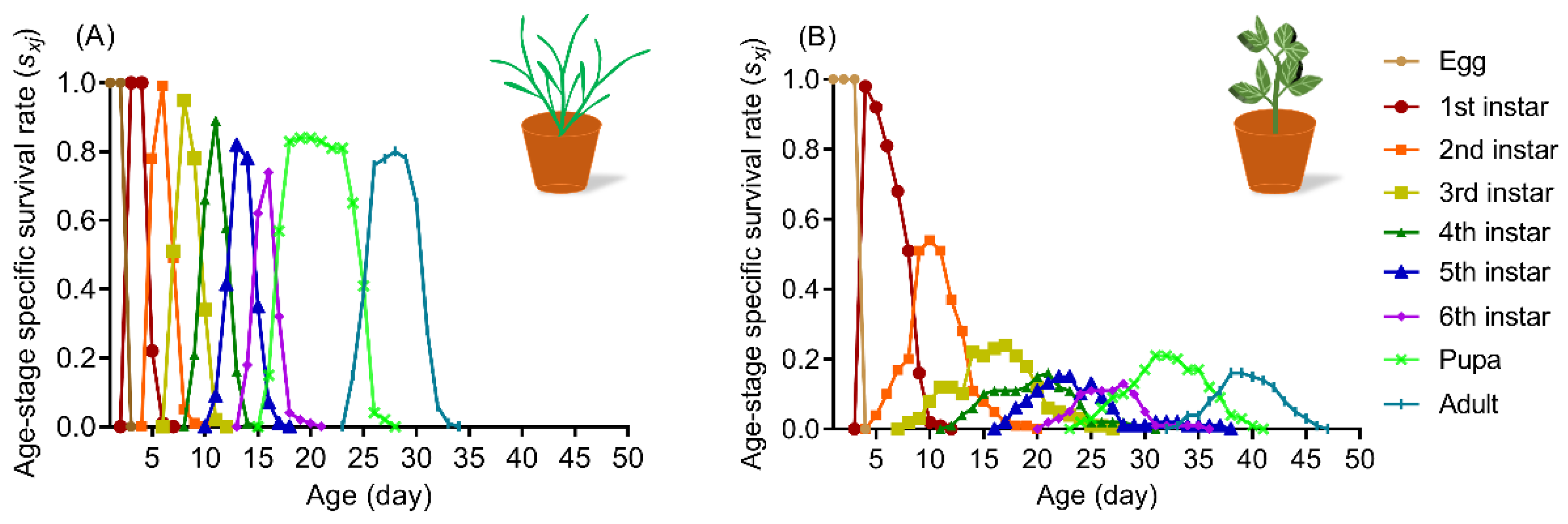 Insects 13 00317 g001