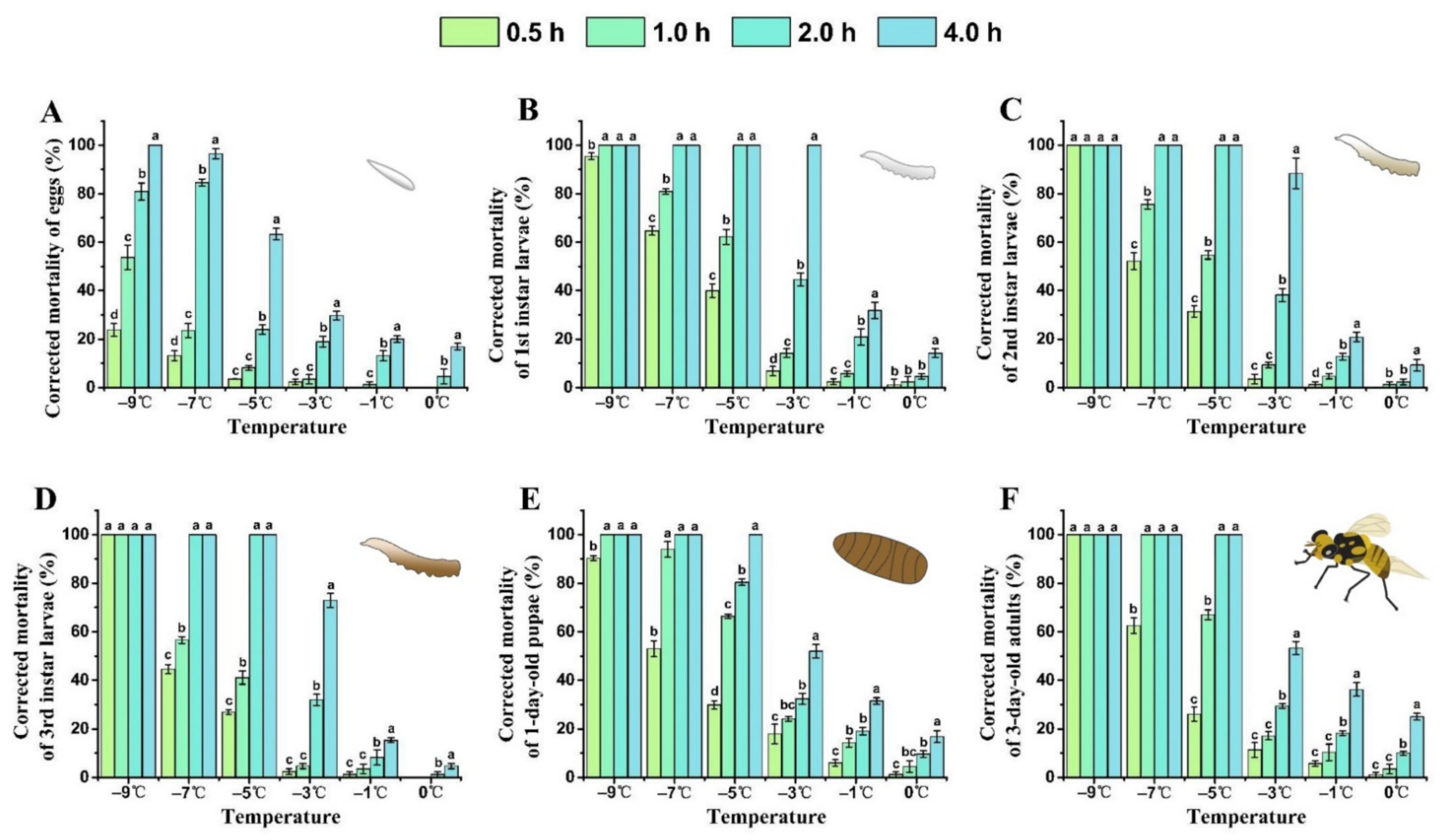 Insects 13 00329 g001