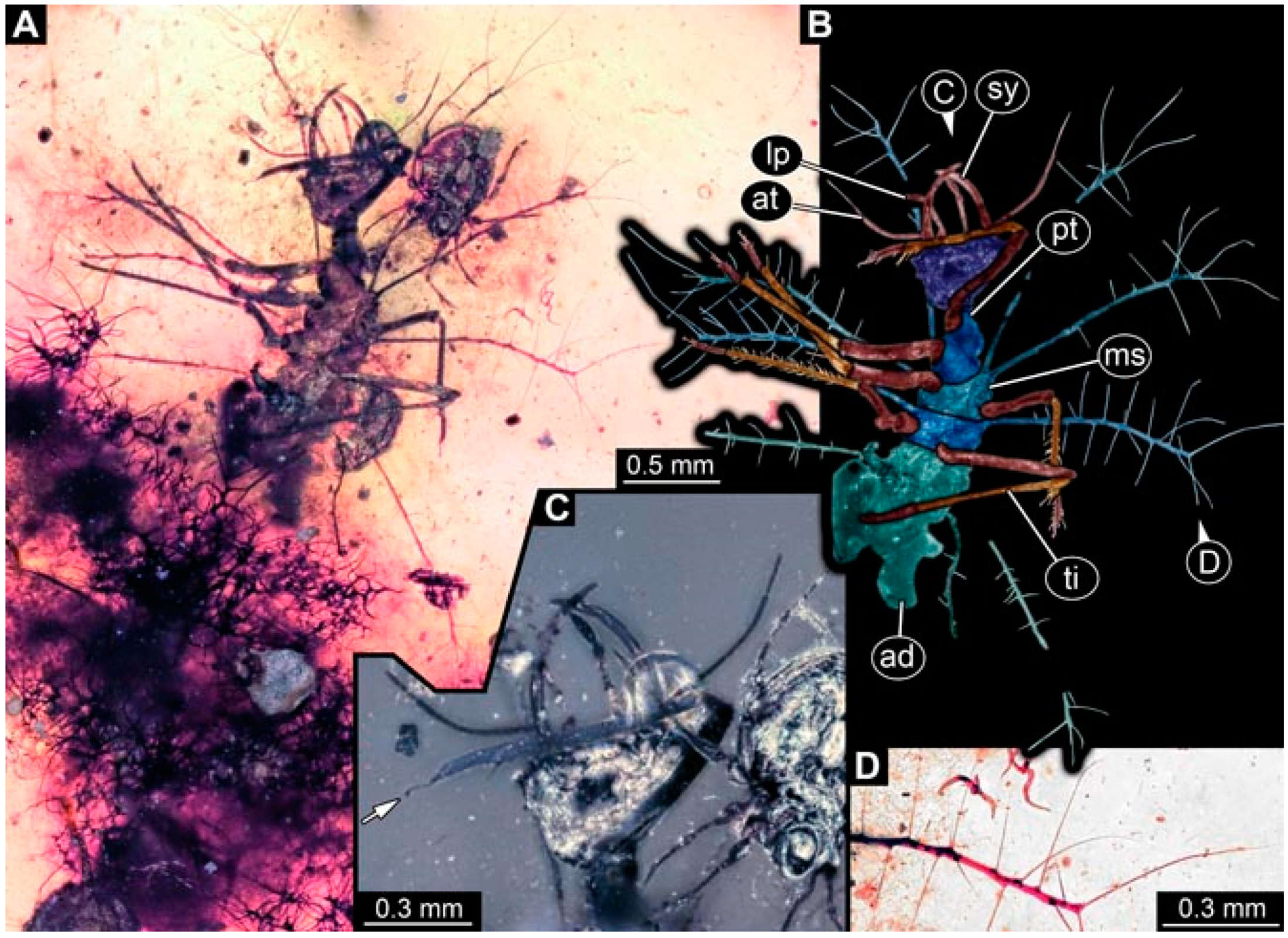 Insects 13 00336 g002 Insects 13 00336 g002