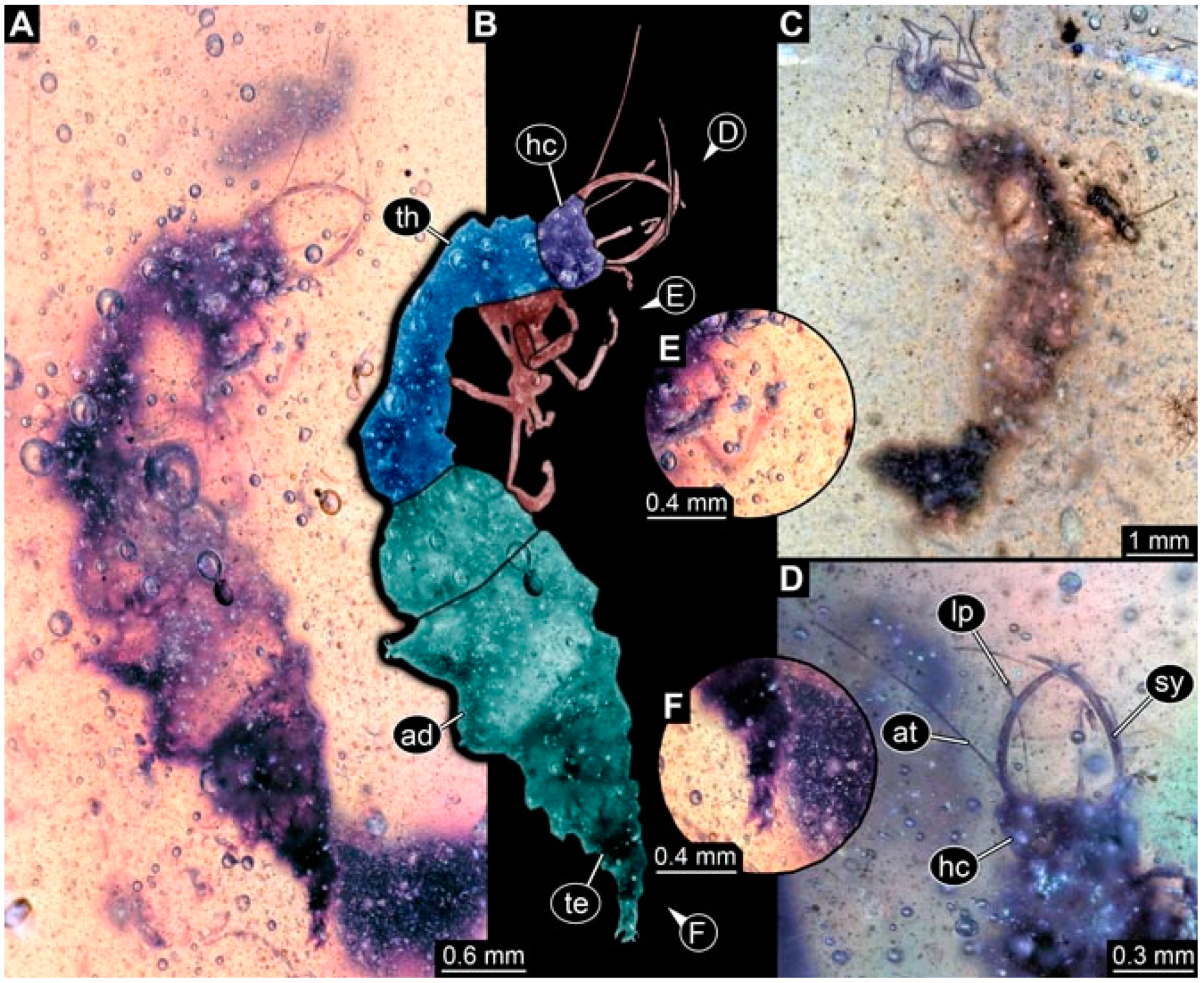 Insects 13 00336 g008 Insects 13 00336 g008