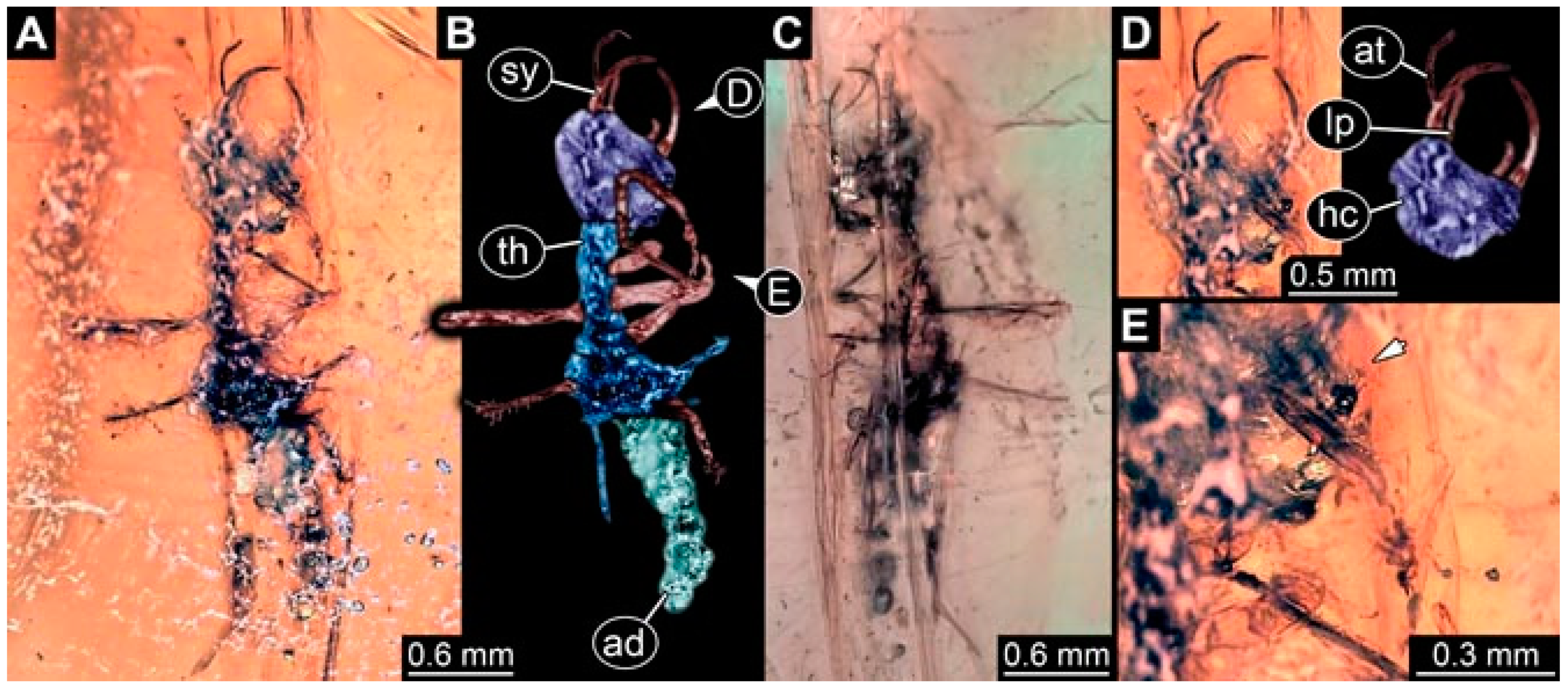 Insects 13 00336 g010 Insects 13 00336 g010