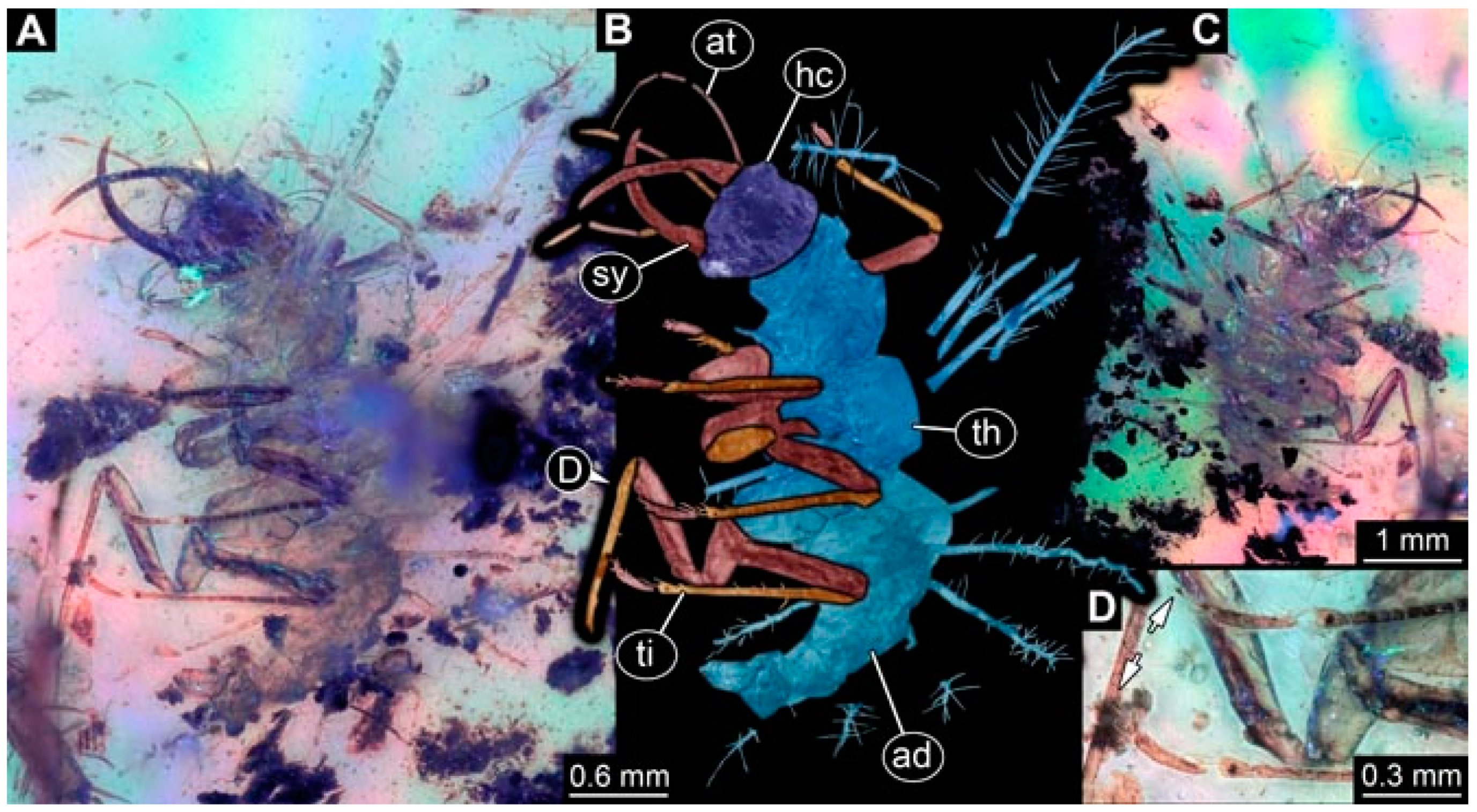 Insects 13 00336 g014 Insects 13 00336 g014