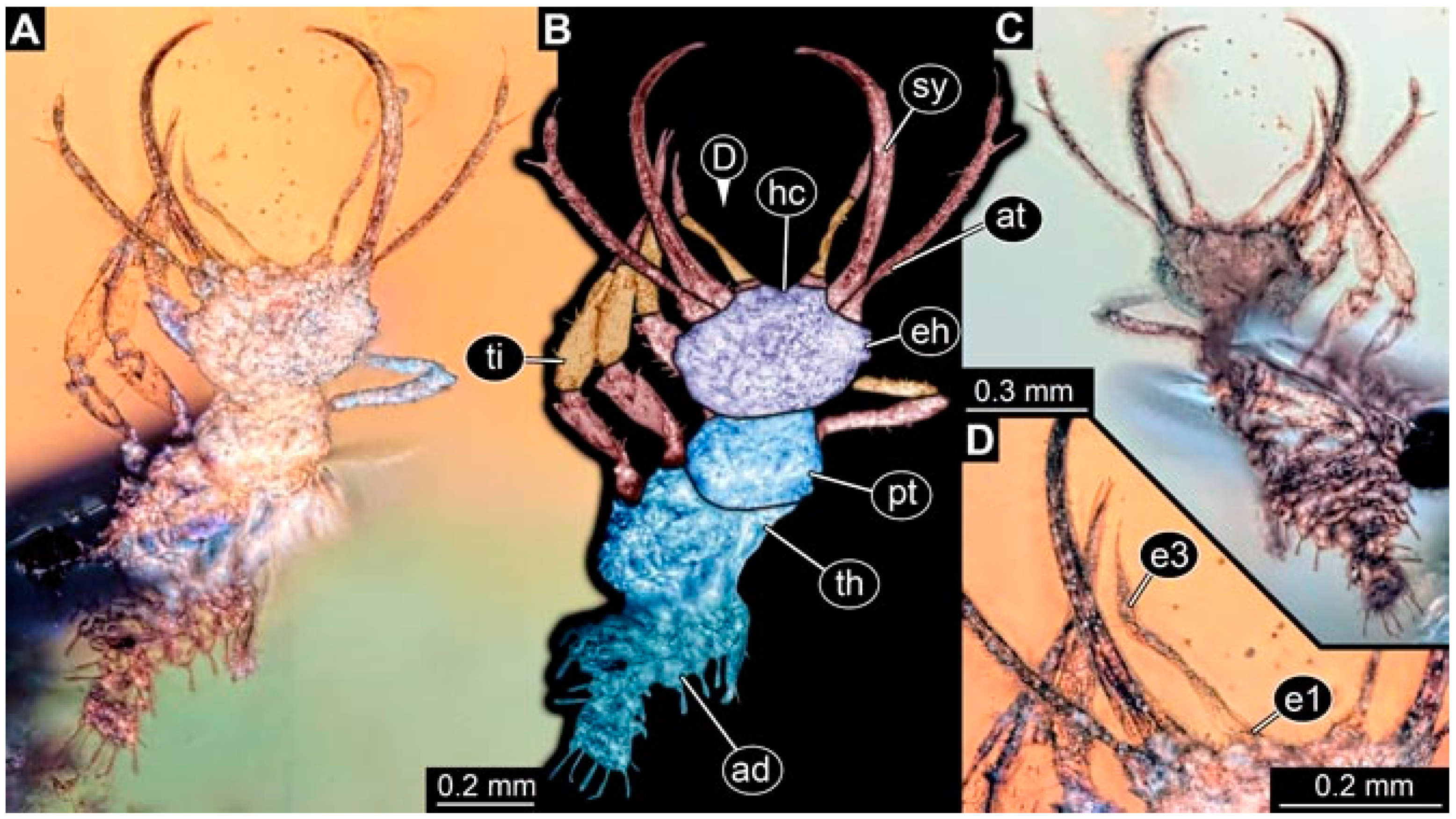 Insects 13 00336 g015 Insects 13 00336 g015