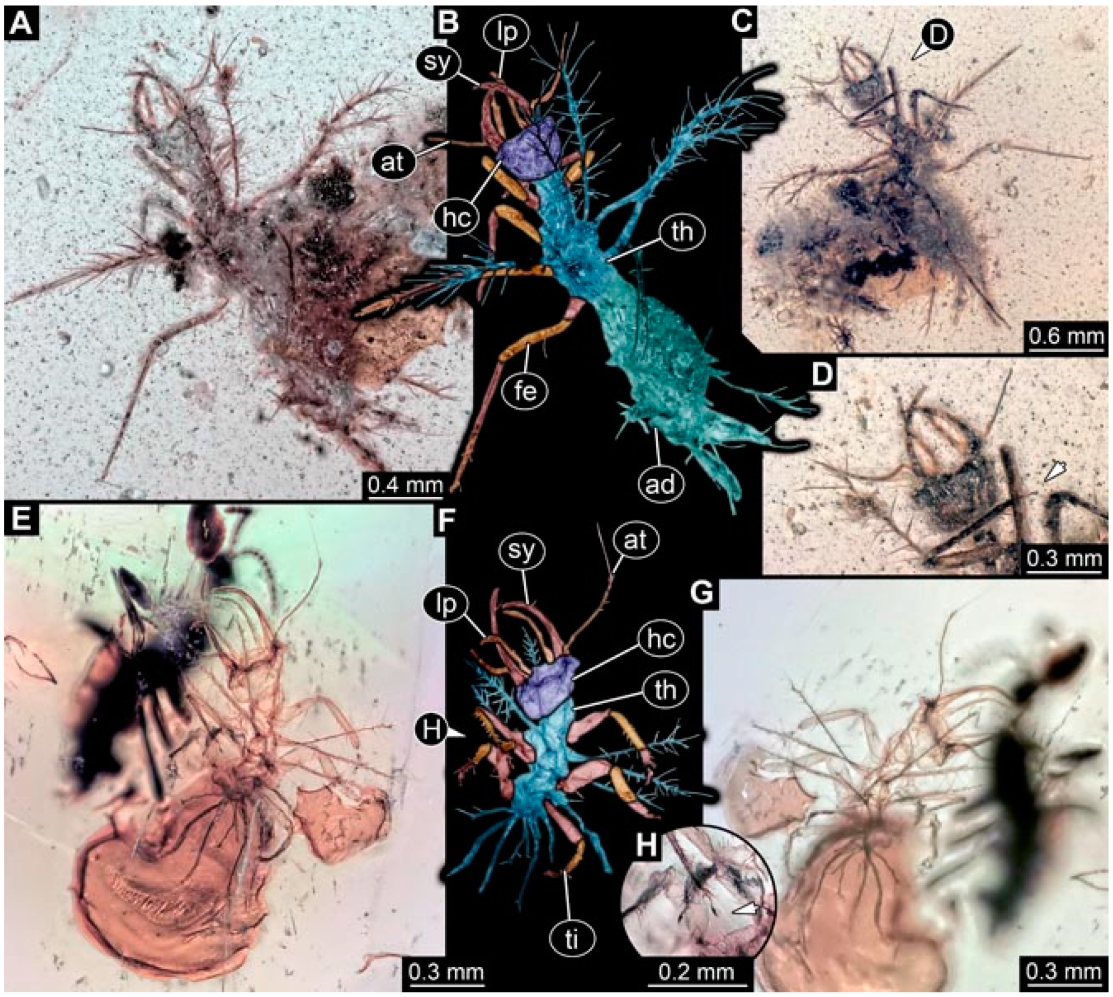 Insects 13 00336 g016 Insects 13 00336 g016