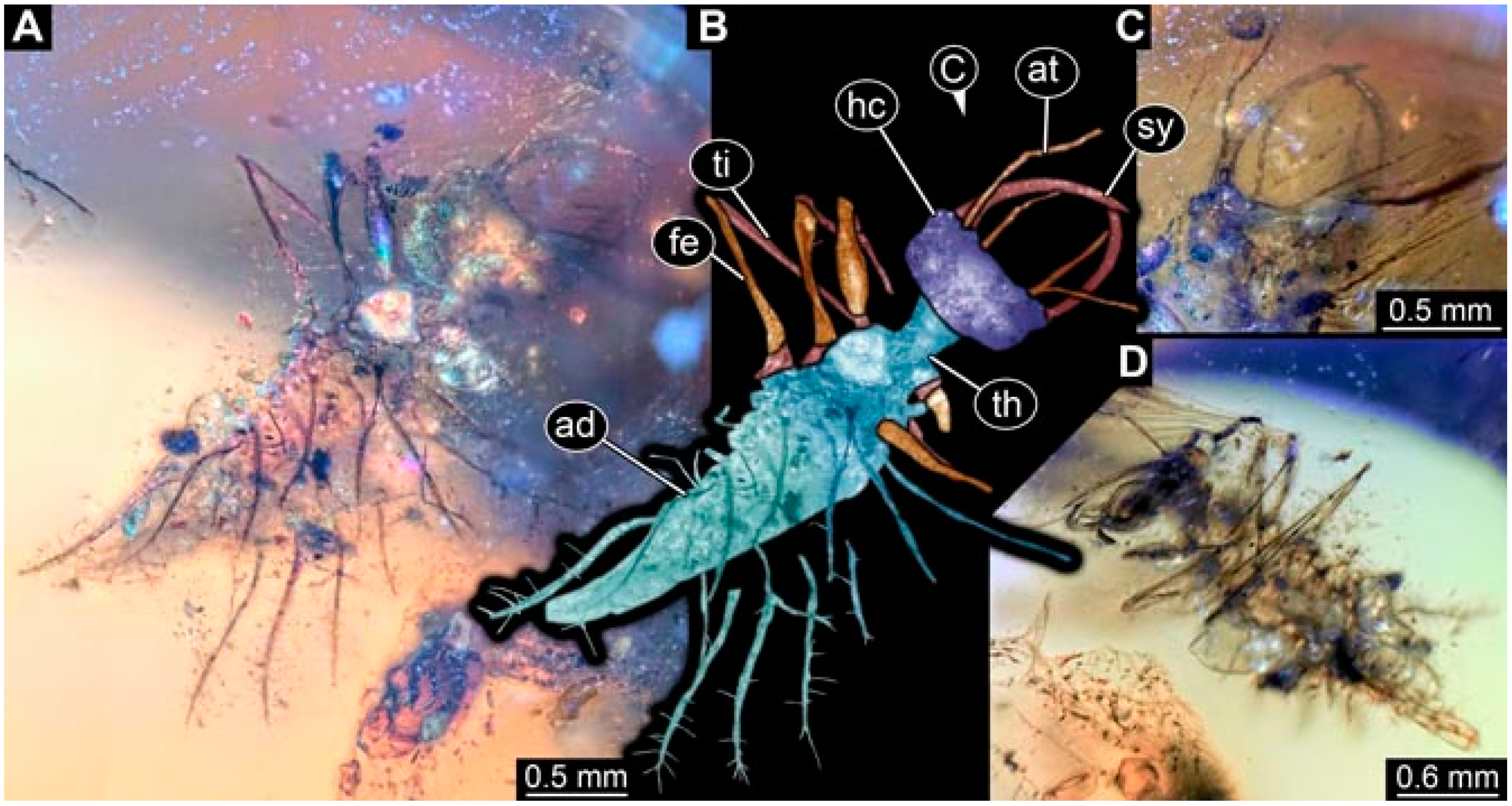 Insects 13 00336 g017 Insects 13 00336 g017