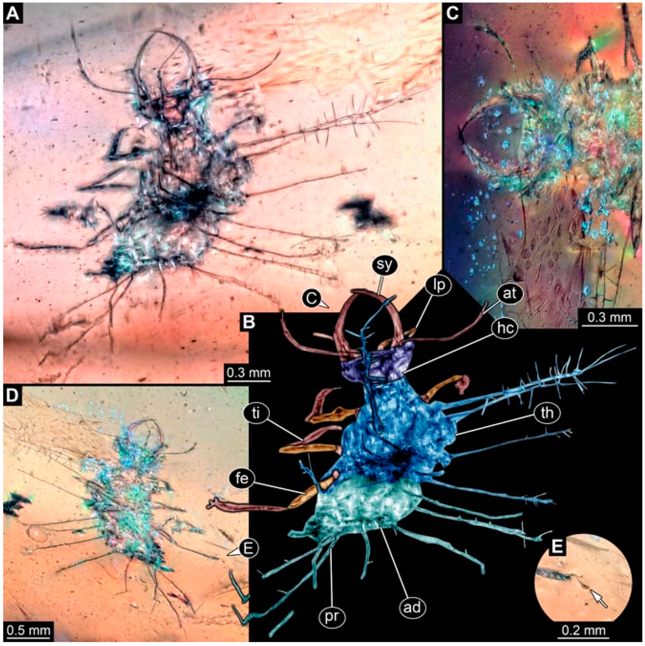Insects 13 00336 g019 Insects 13 00336 g019