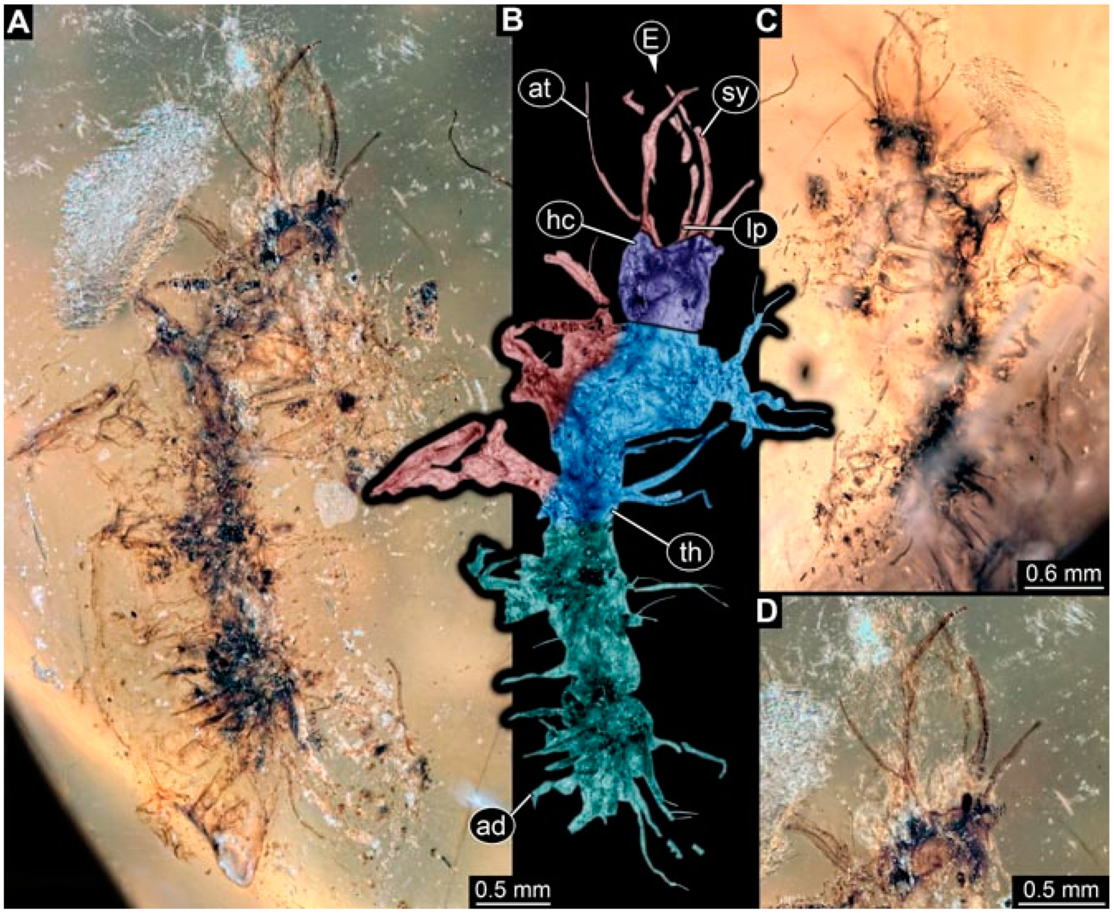 Insects 13 00336 g020 Insects 13 00336 g020