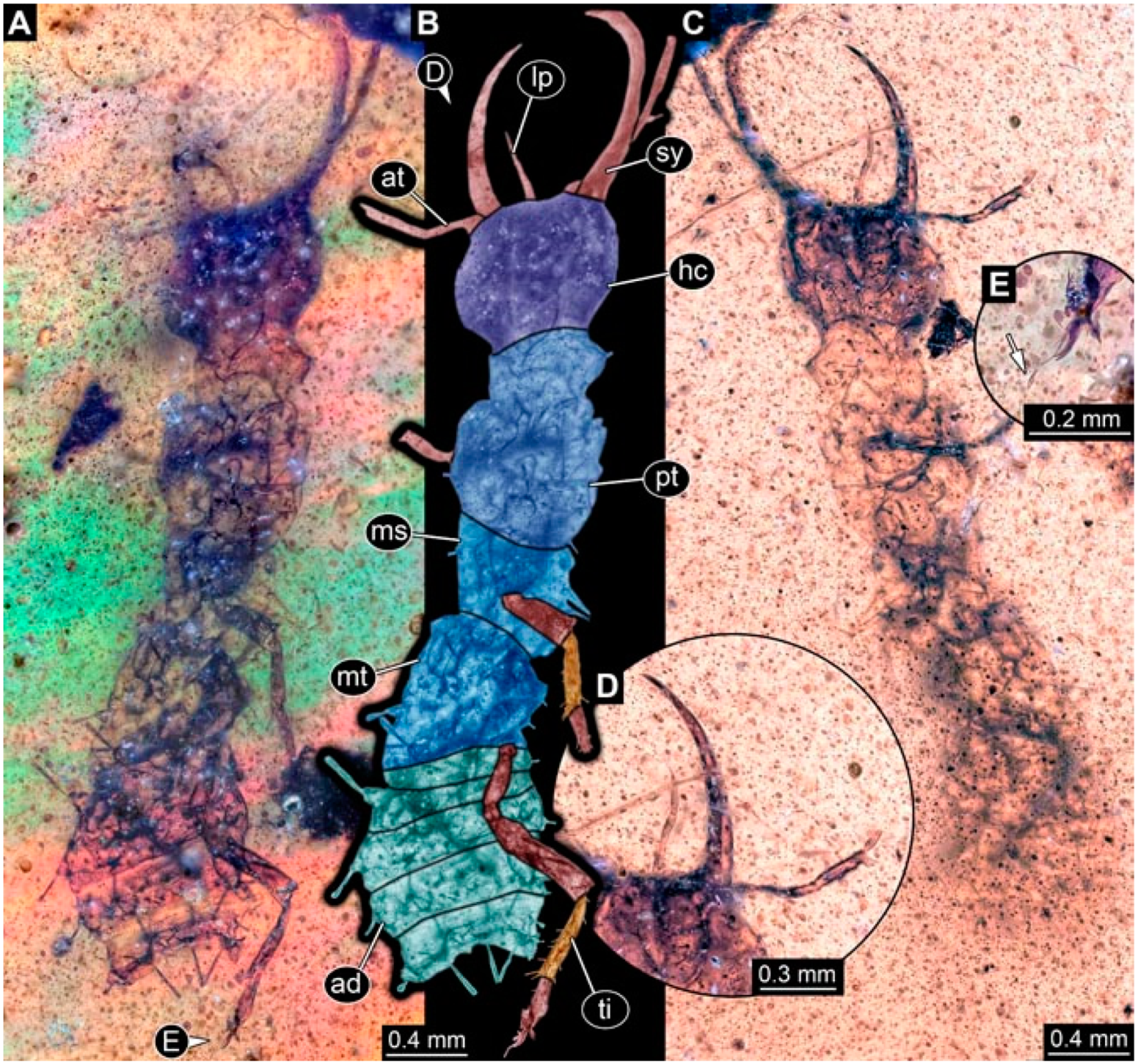 Insects 13 00336 g021 Insects 13 00336 g021