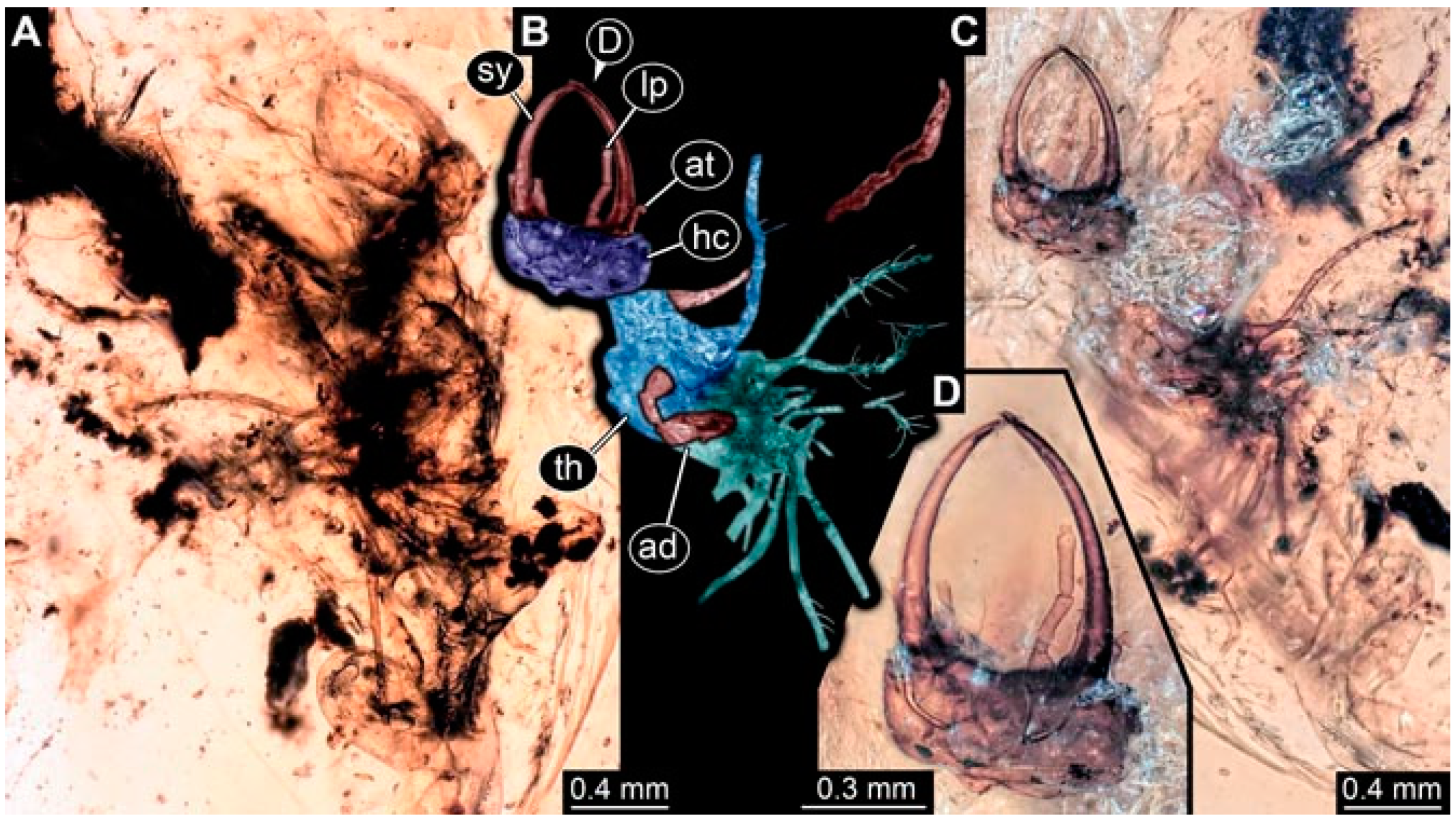 Insects 13 00336 g022 Insects 13 00336 g022