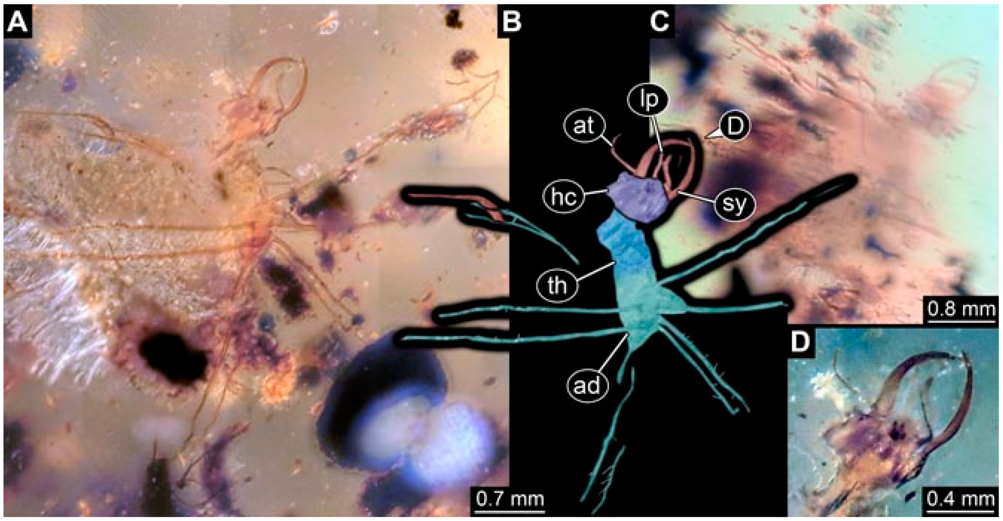 Insects 13 00336 g024 Insects 13 00336 g024