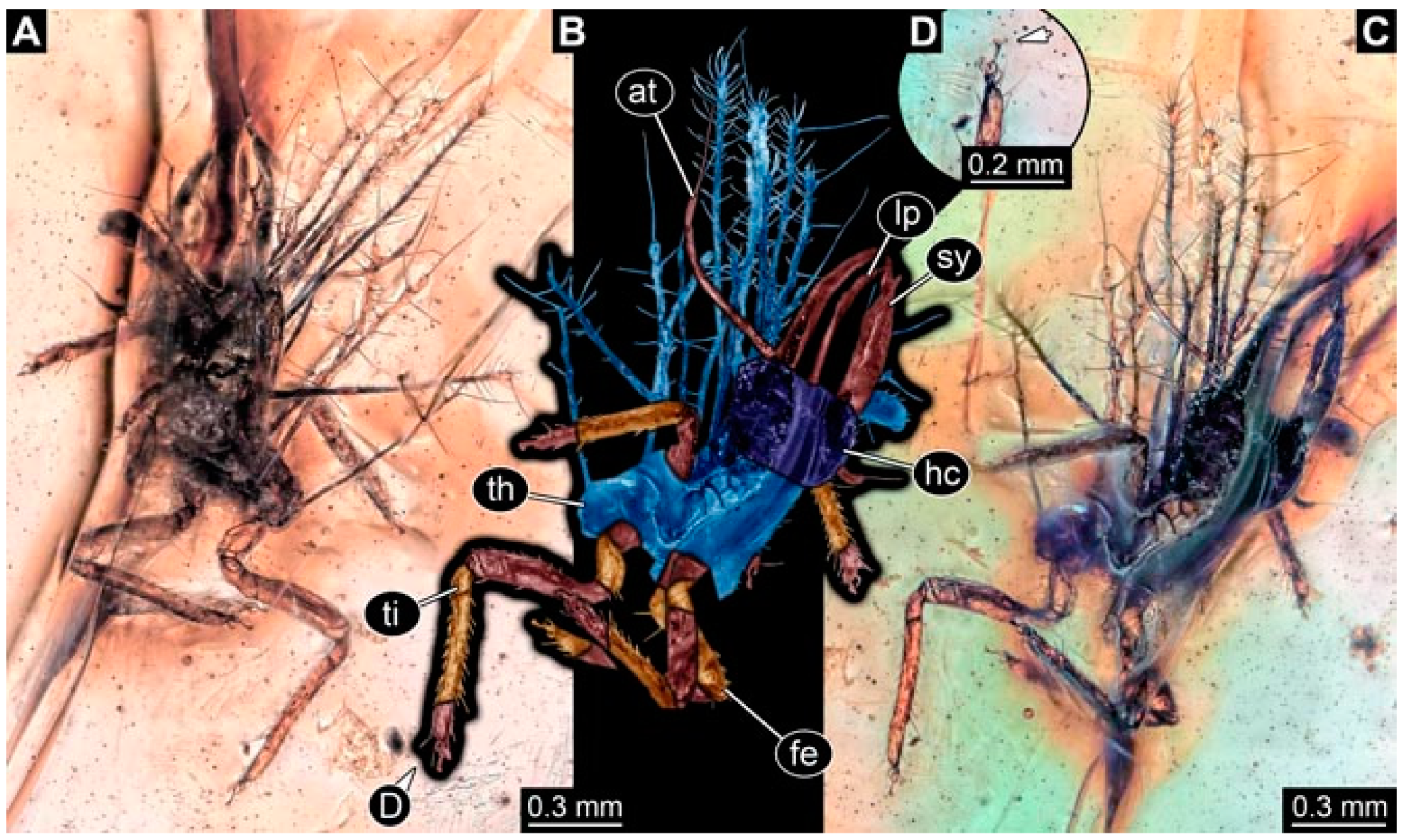 Insects 13 00336 g027 Insects 13 00336 g027