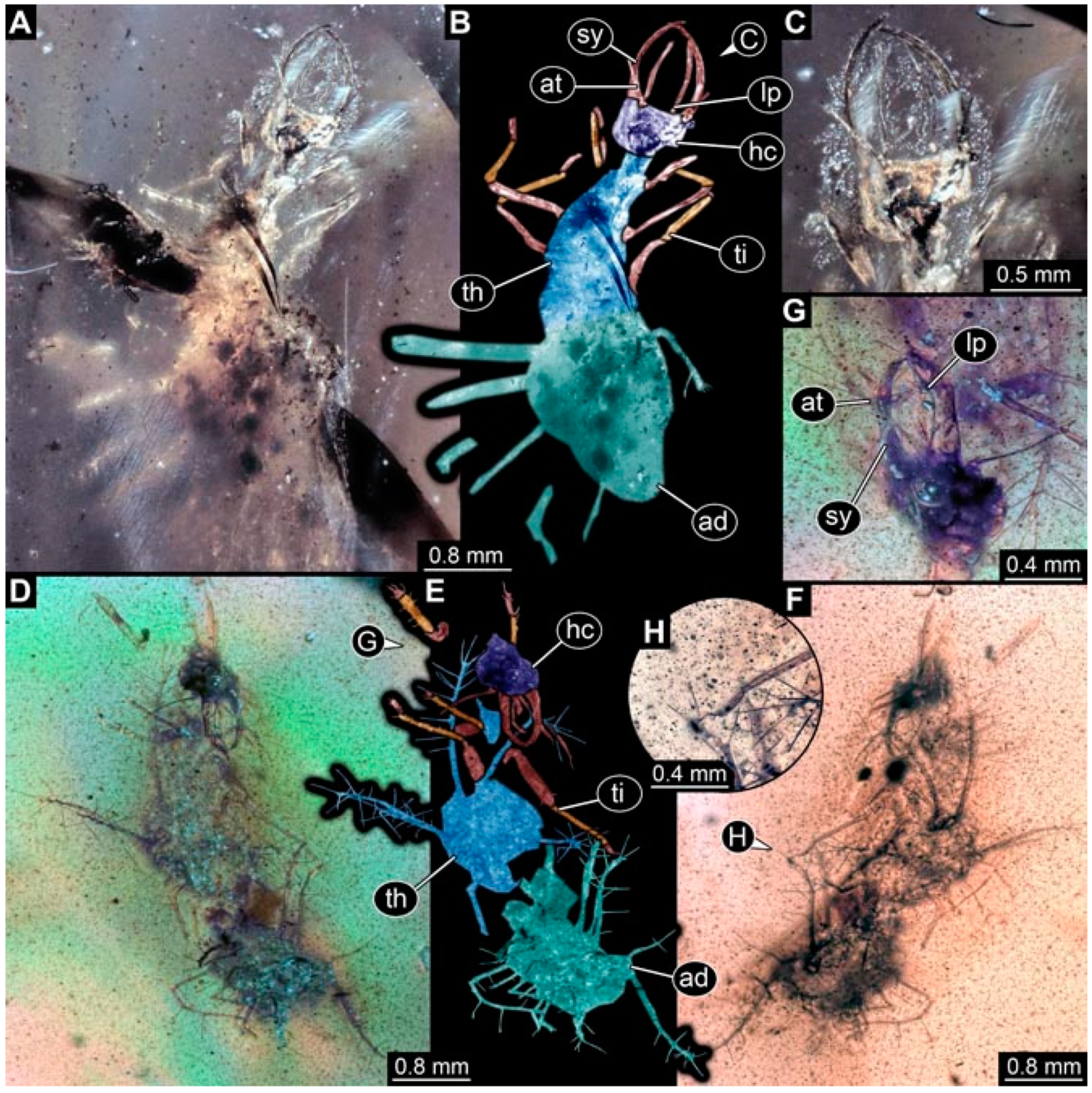 Insects 13 00336 g028 Insects 13 00336 g028