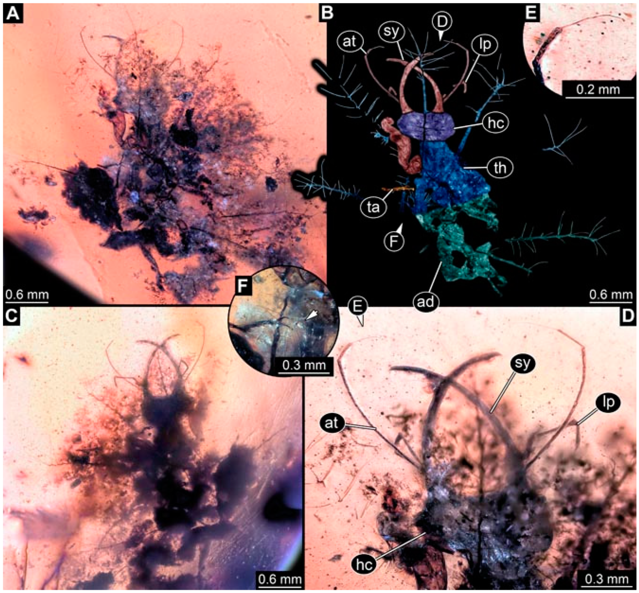 Insects 13 00336 g033 Insects 13 00336 g033