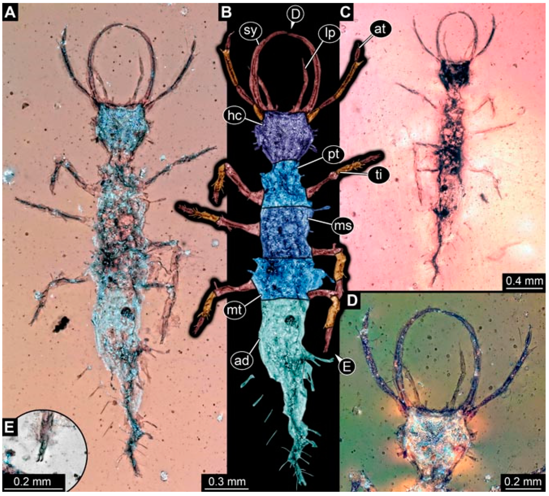 Insects 13 00336 g034 Insects 13 00336 g034