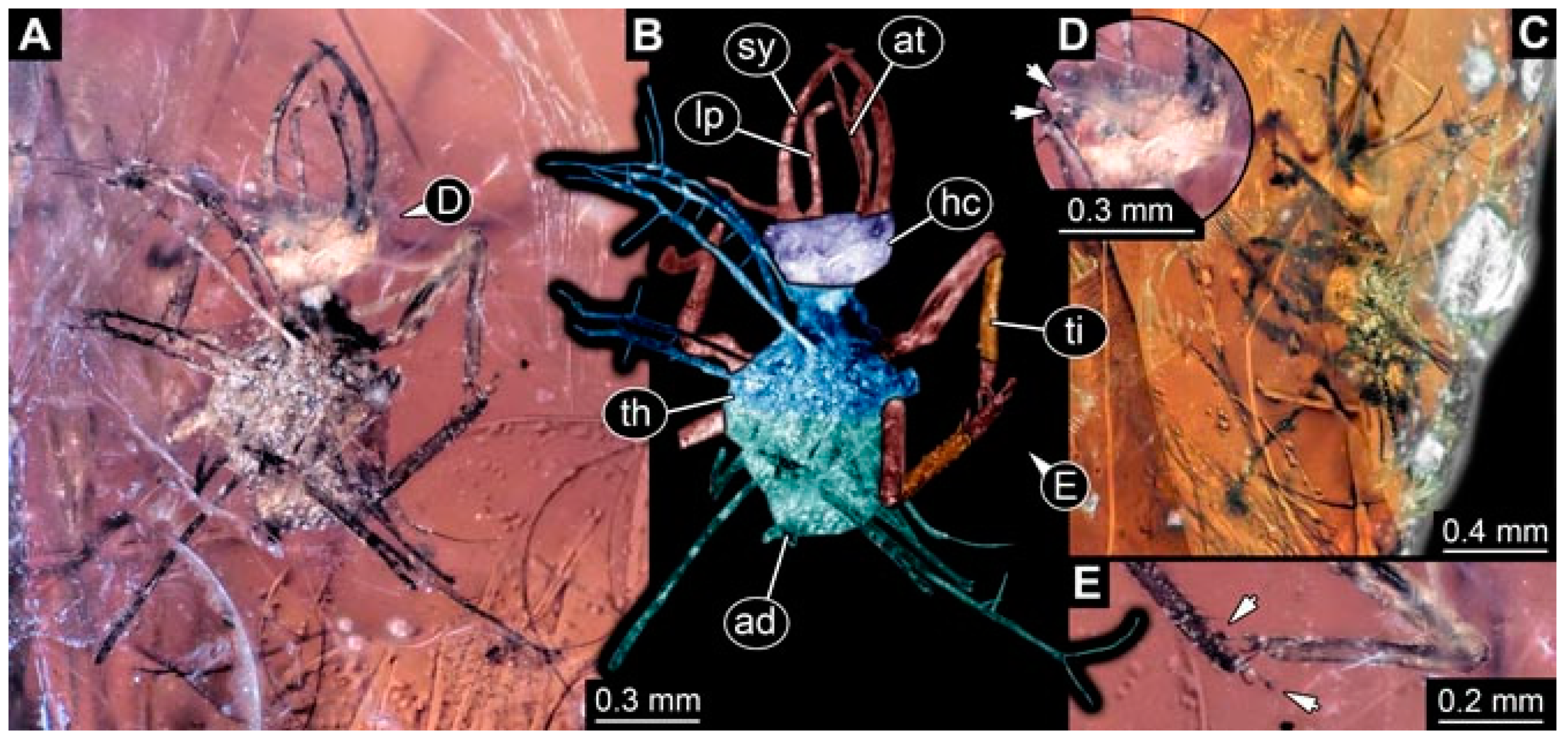 Insects 13 00336 g035 Insects 13 00336 g035