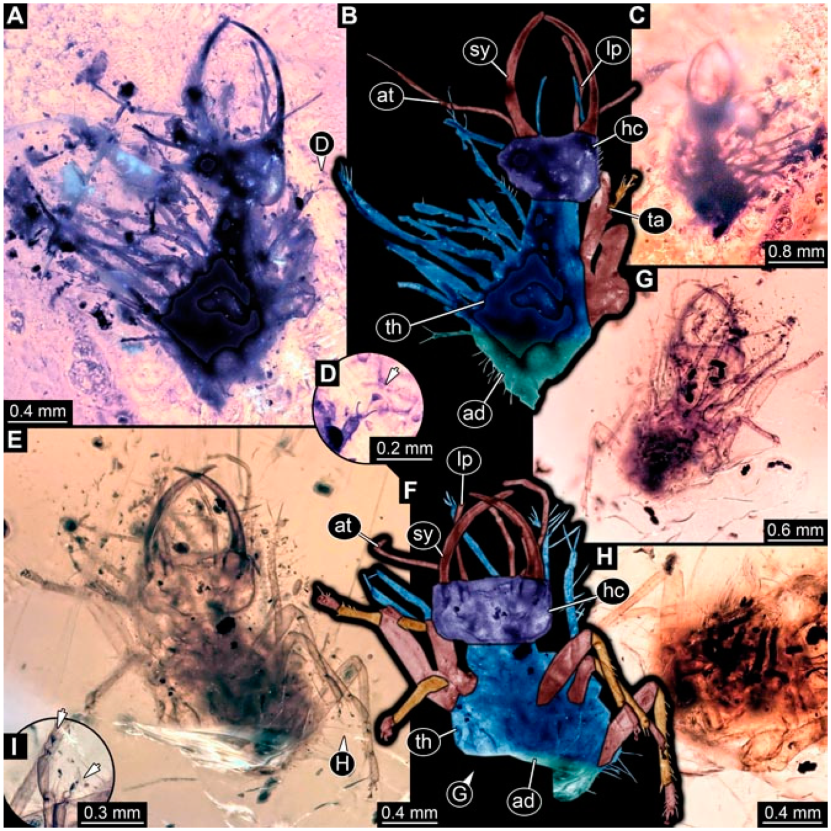 Insects 13 00336 g039 Insects 13 00336 g039