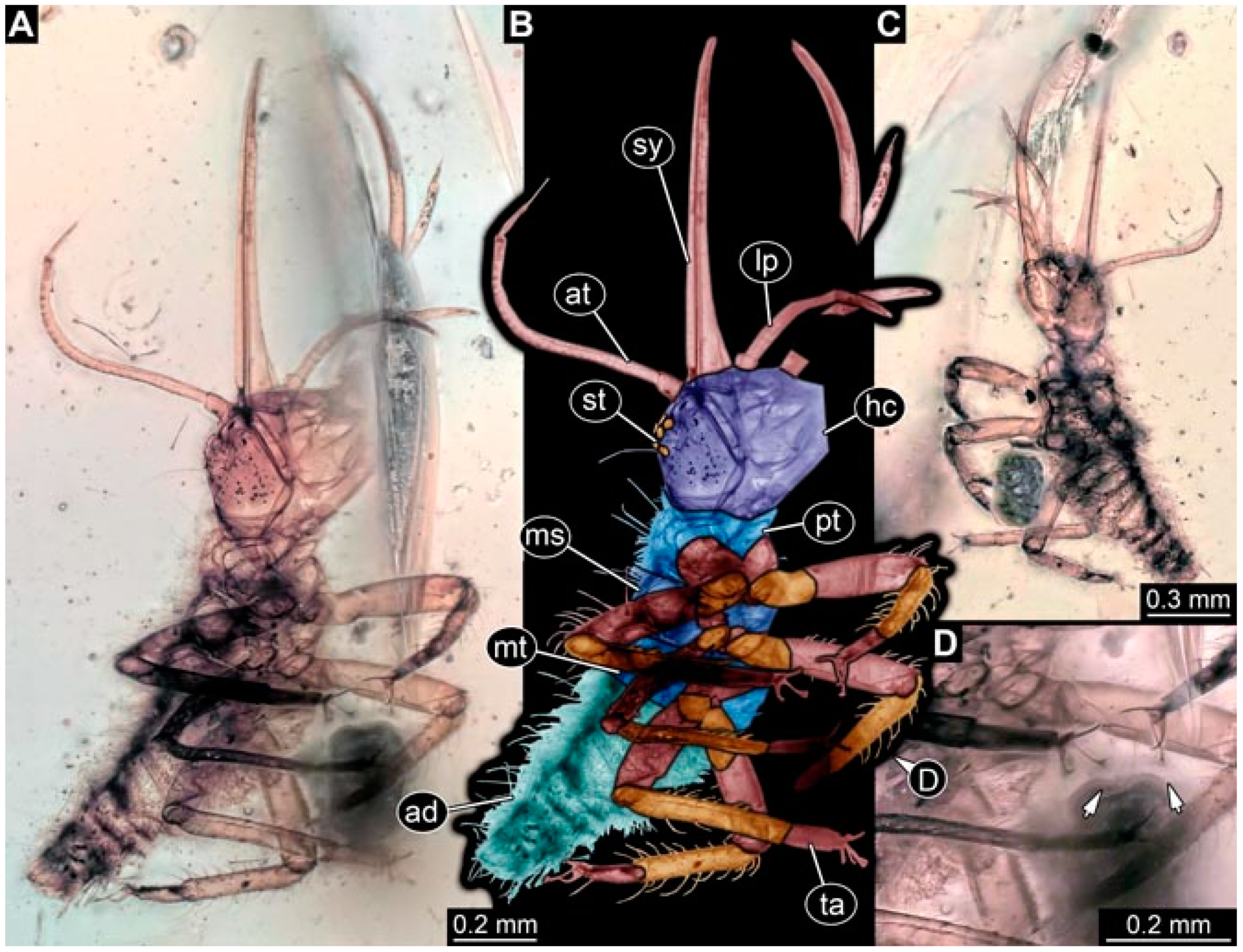 Insects 13 00336 g041 Insects 13 00336 g041