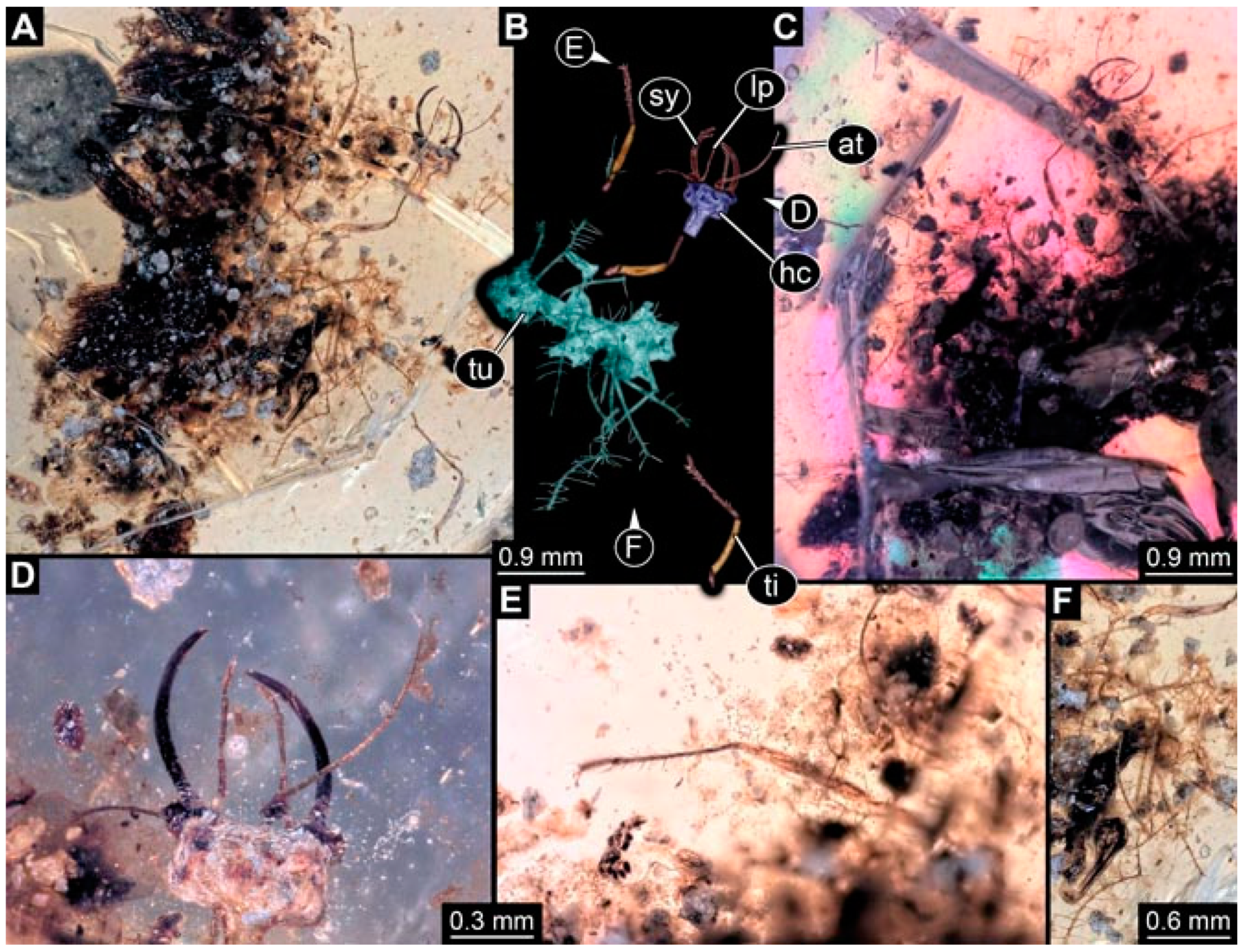 Insects 13 00336 g042 Insects 13 00336 g042