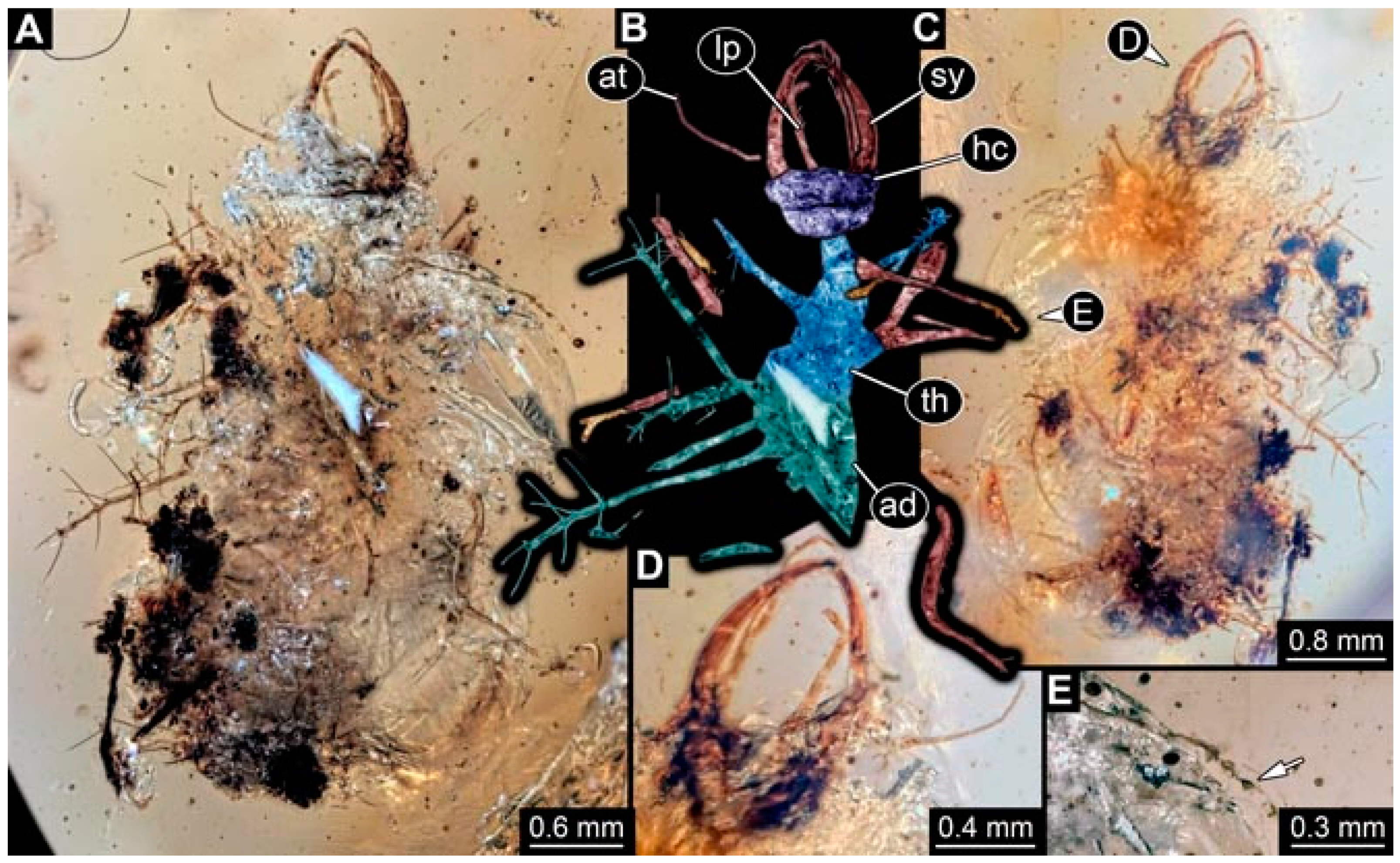 Insects 13 00336 g043 Insects 13 00336 g043