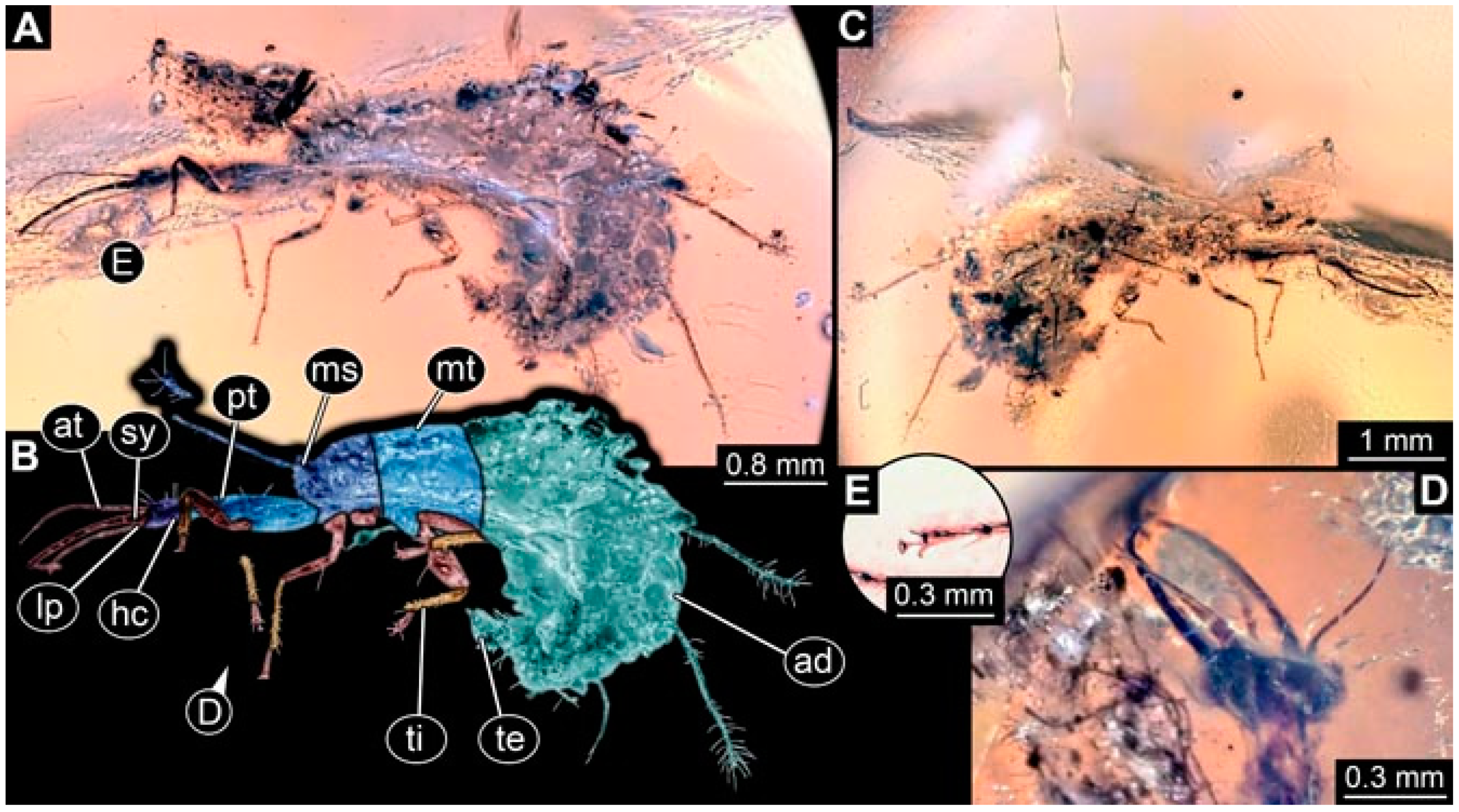 Insects 13 00336 g045 Insects 13 00336 g045