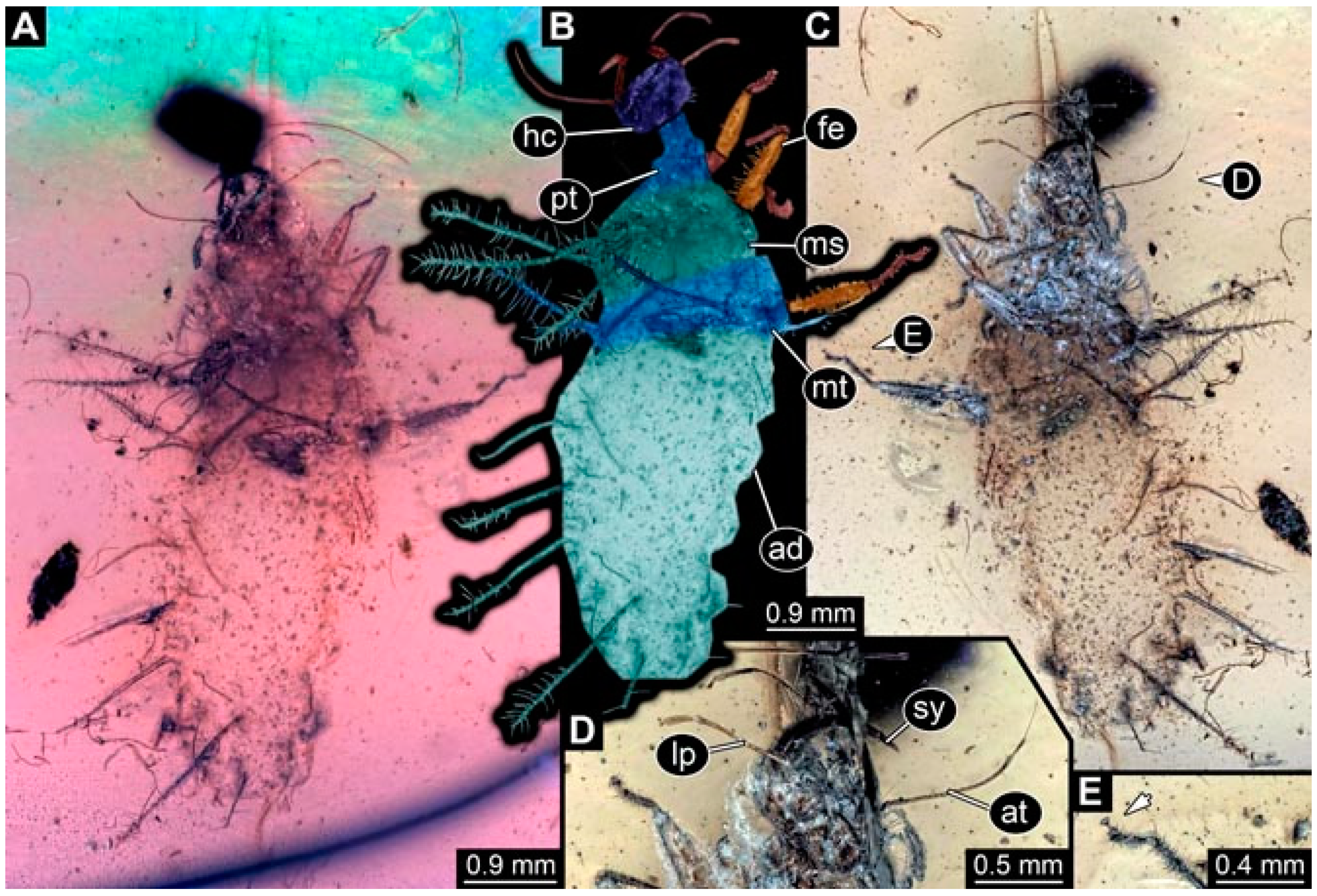 Insects 13 00336 g046 Insects 13 00336 g046
