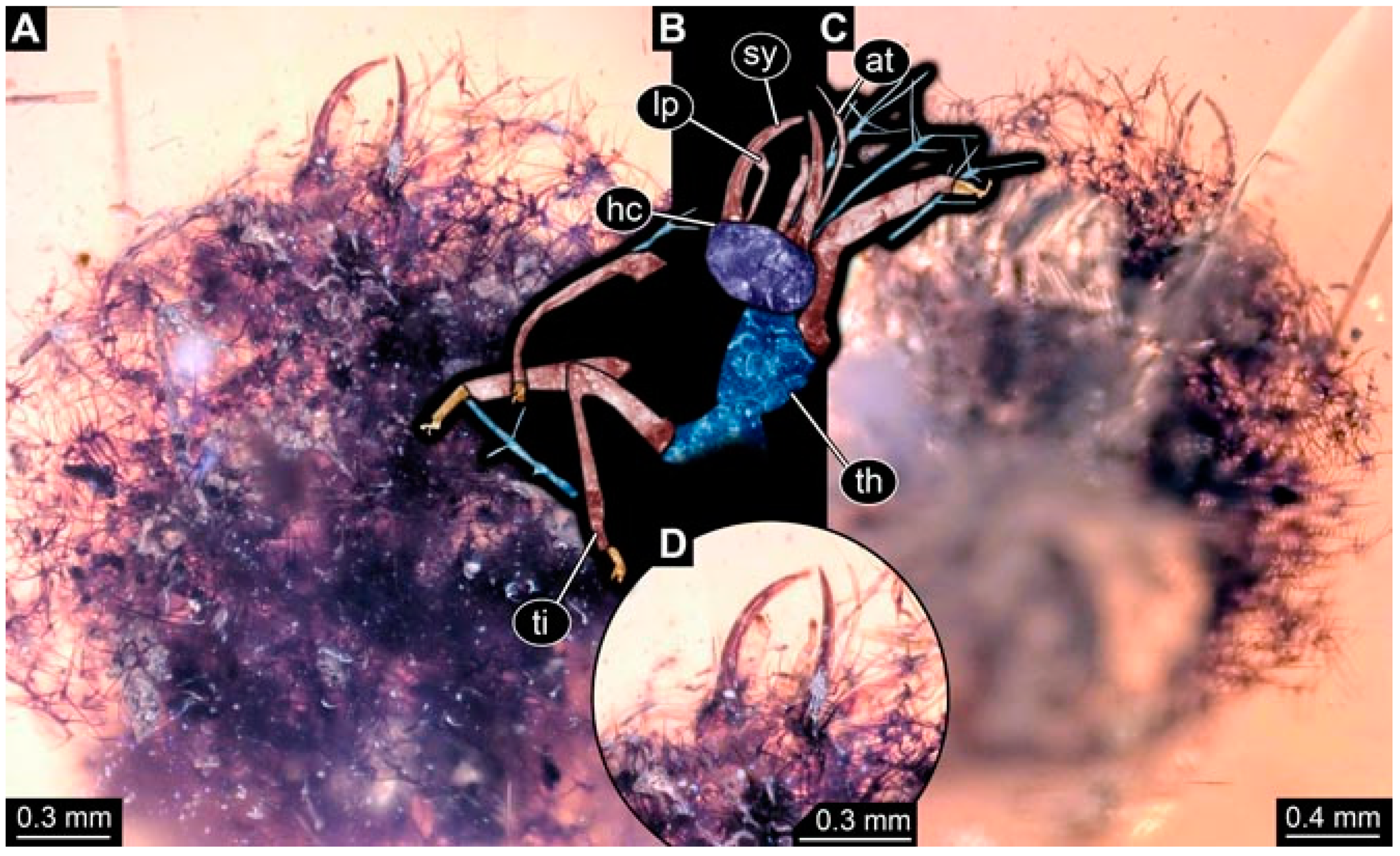 Insects 13 00336 g047 Insects 13 00336 g047