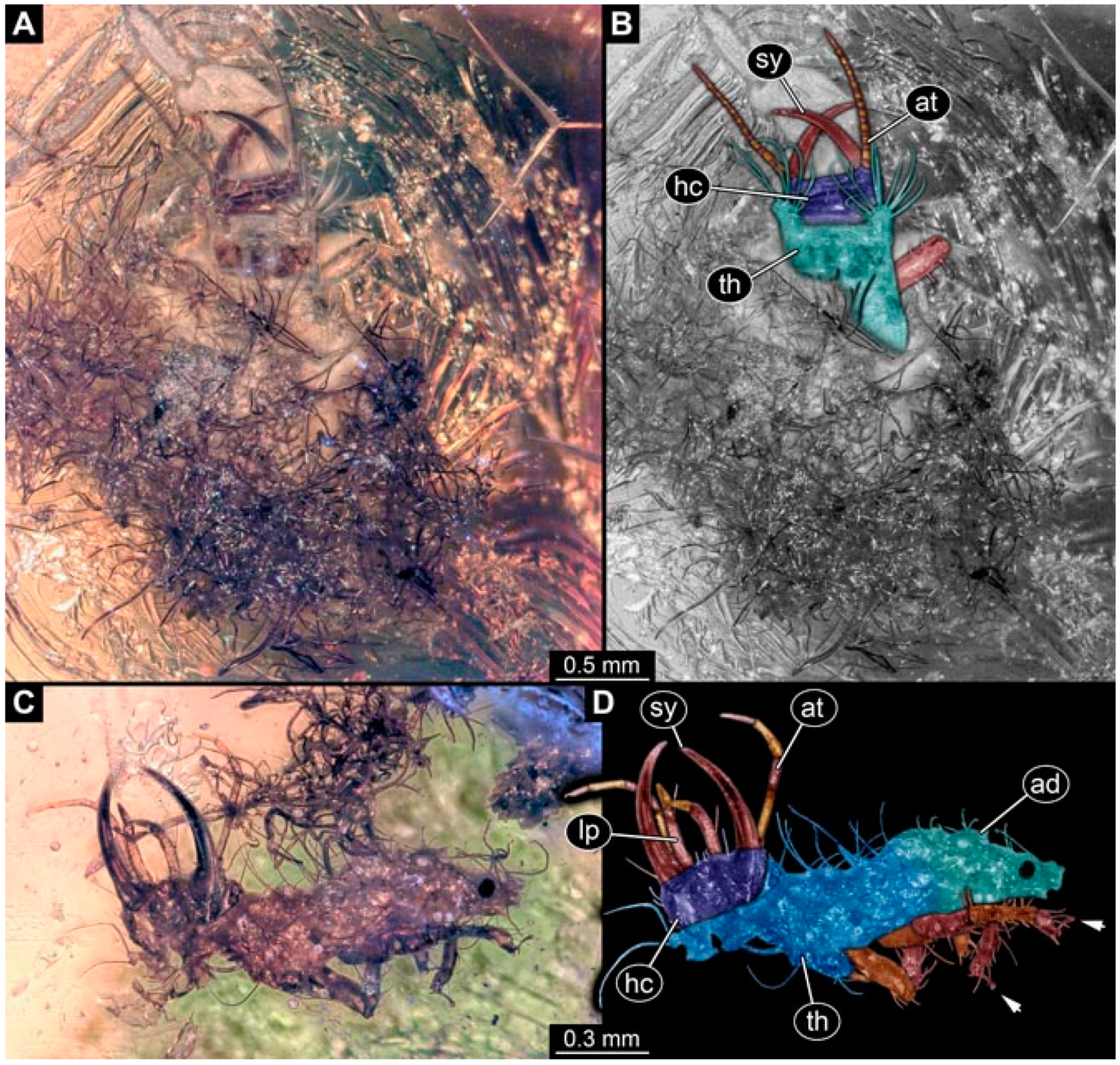 Insects 13 00336 g049 Insects 13 00336 g049