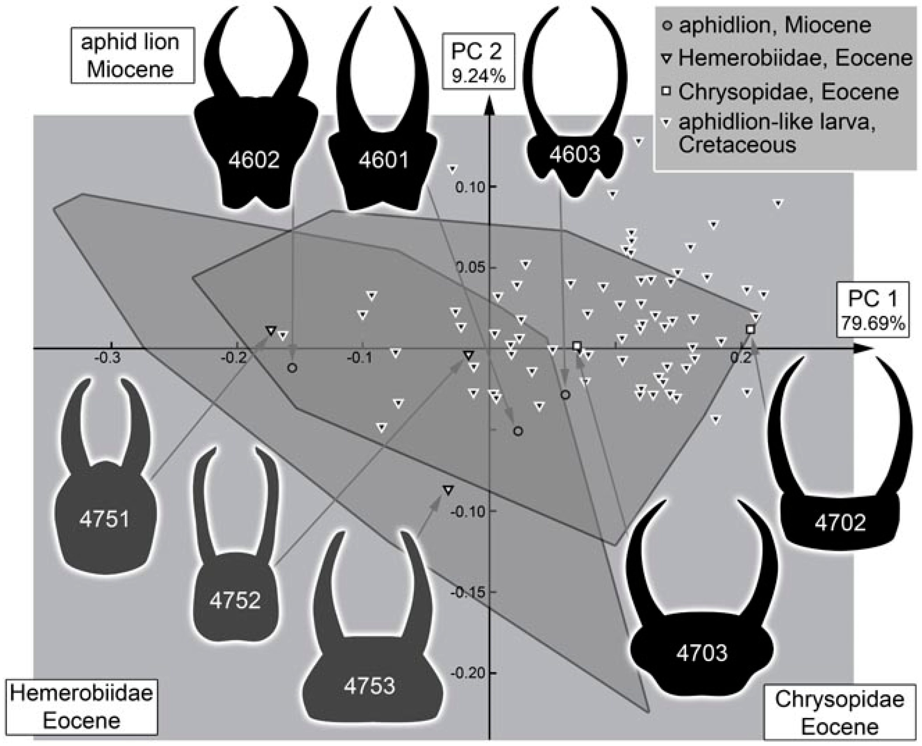 Insects 13 00336 g053 Insects 13 00336 g053