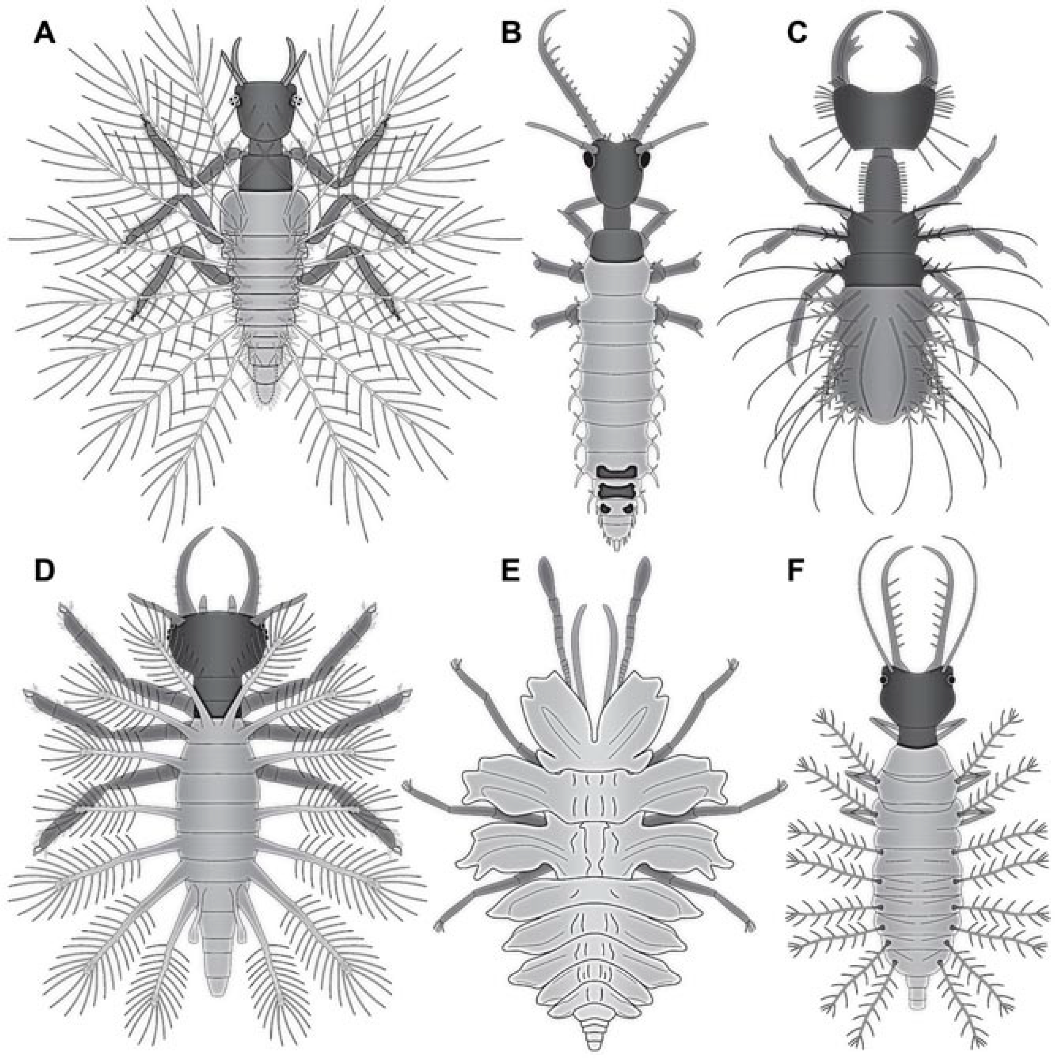 Insects 13 00336 g056 Insects 13 00336 g056