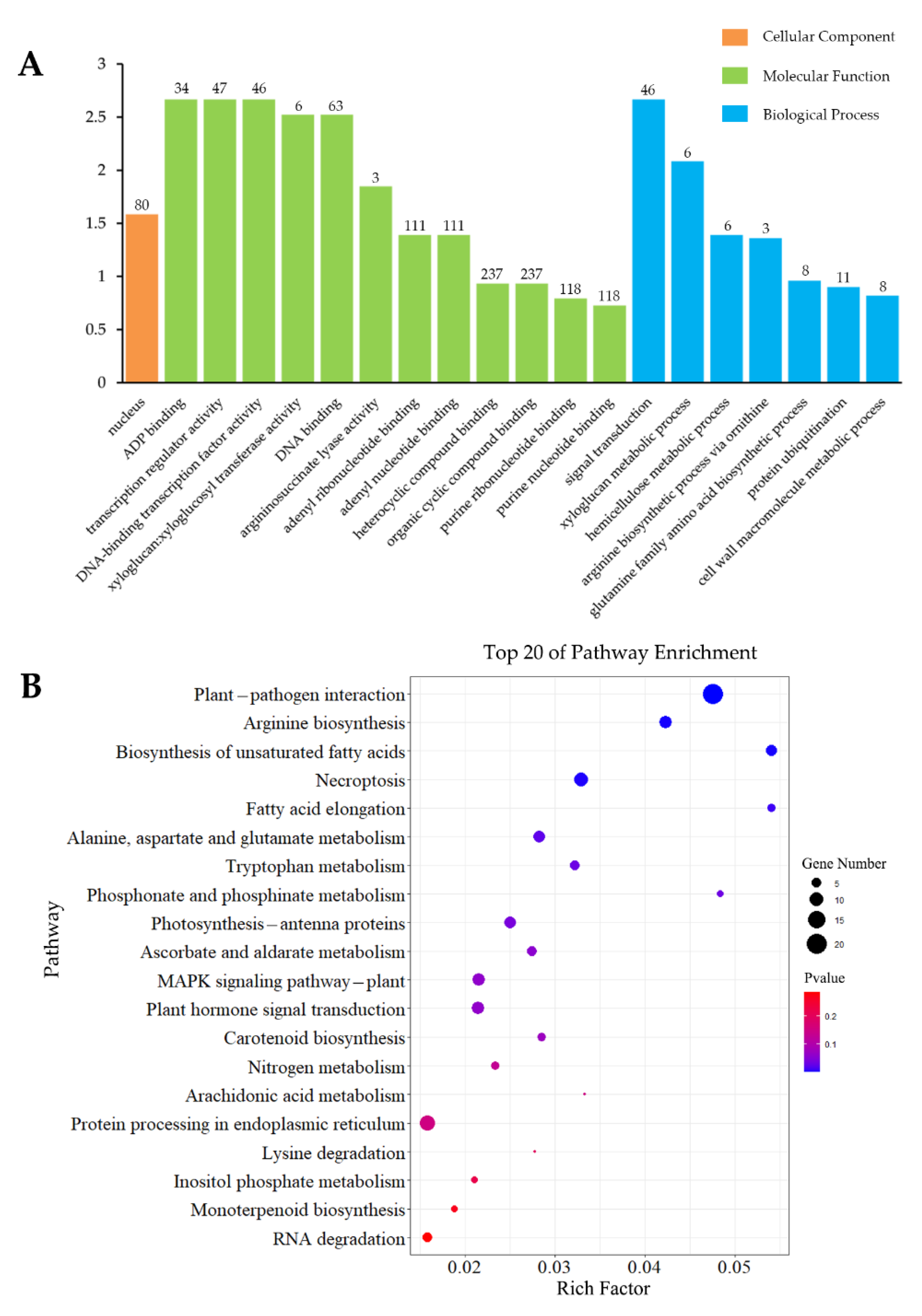 Insects 13 00338 g004