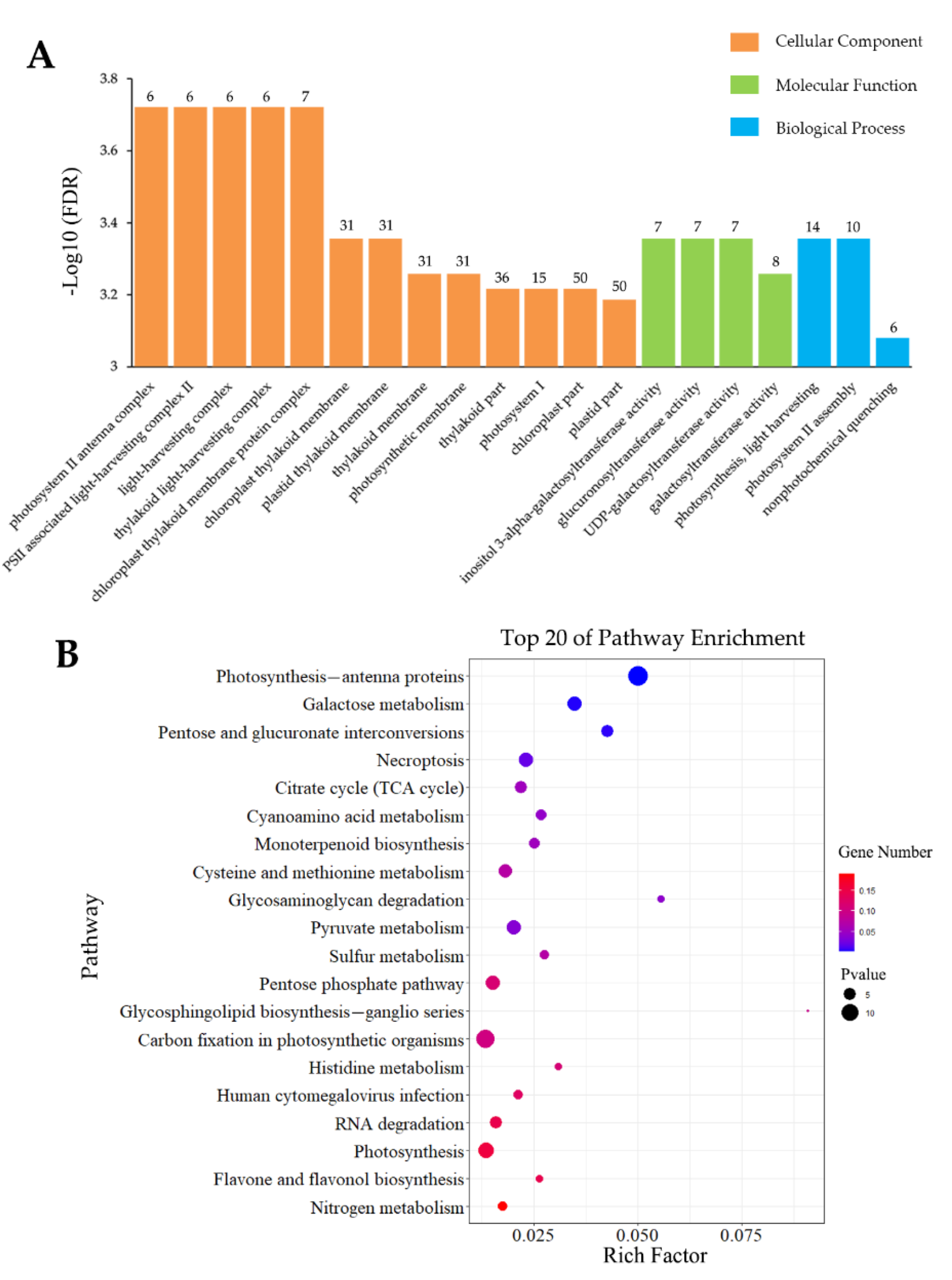 Insects 13 00338 g005