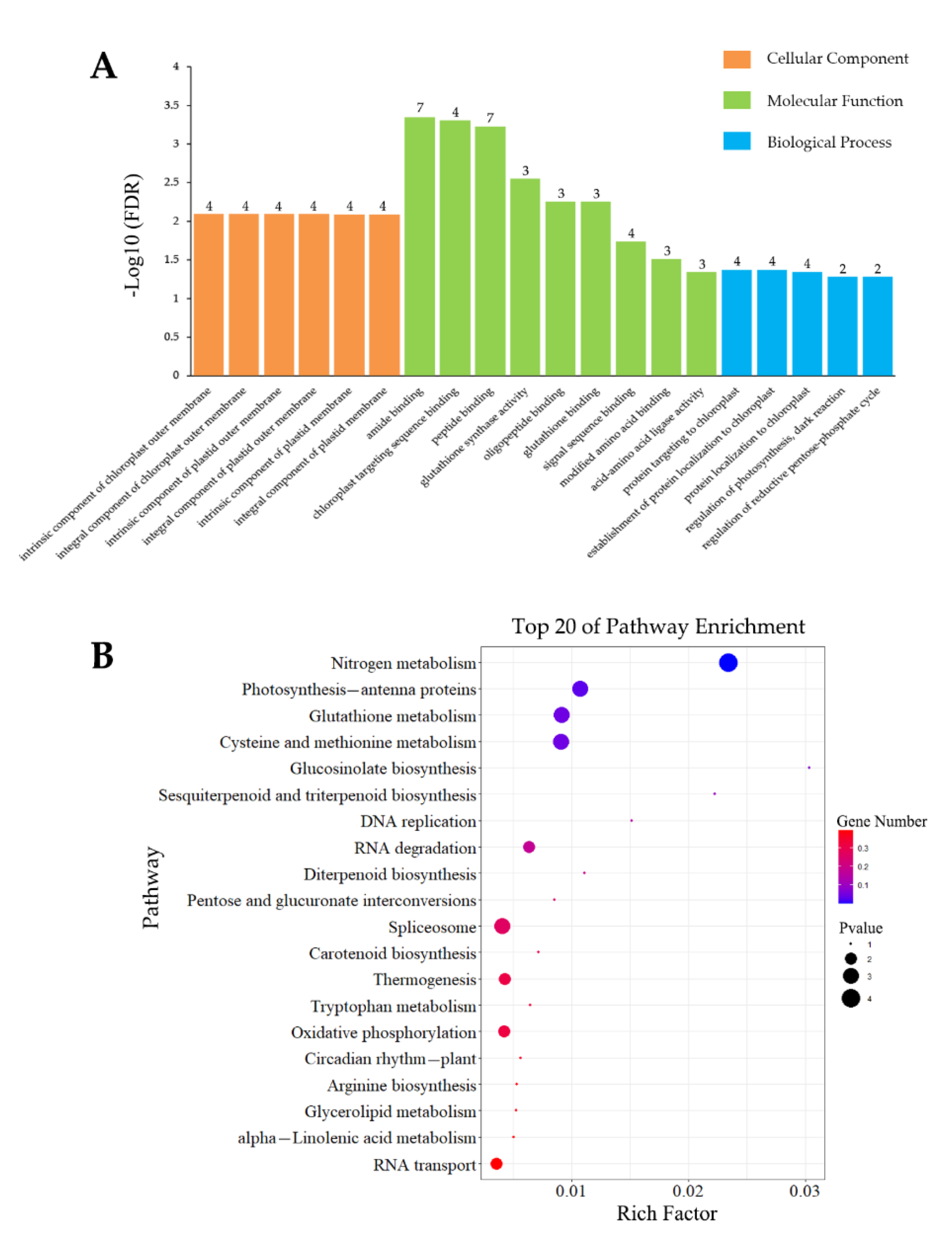 Insects 13 00338 g006