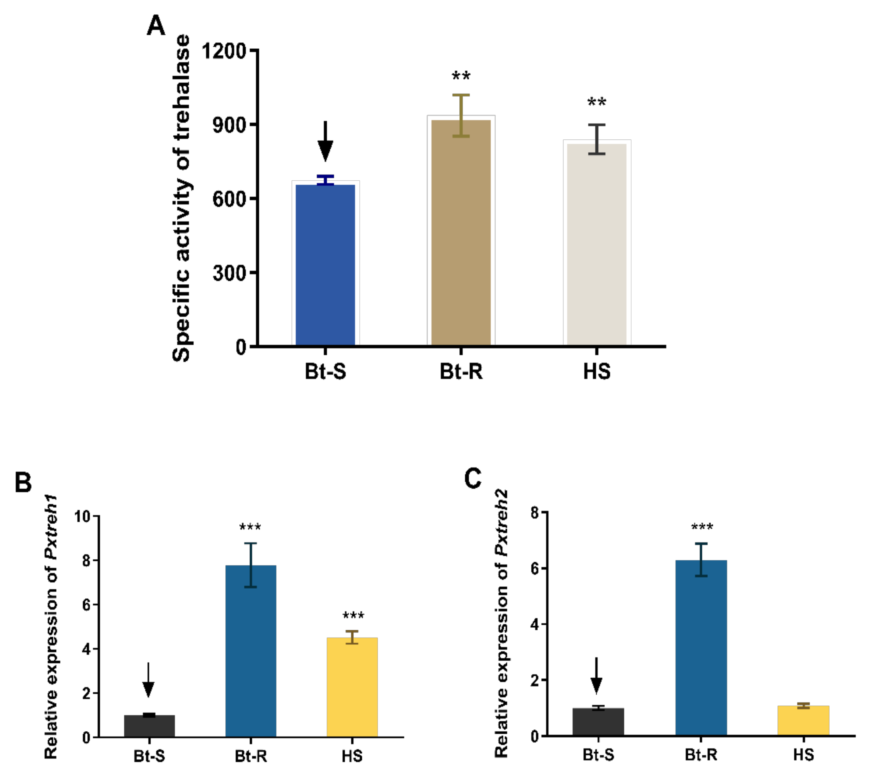 Insects 13 00340 g001