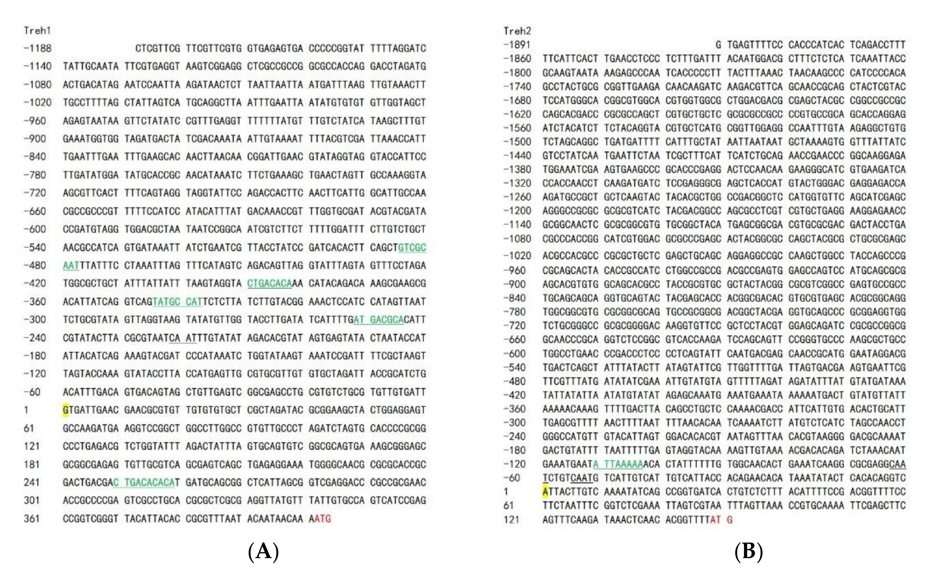 Insects 13 00340 g003