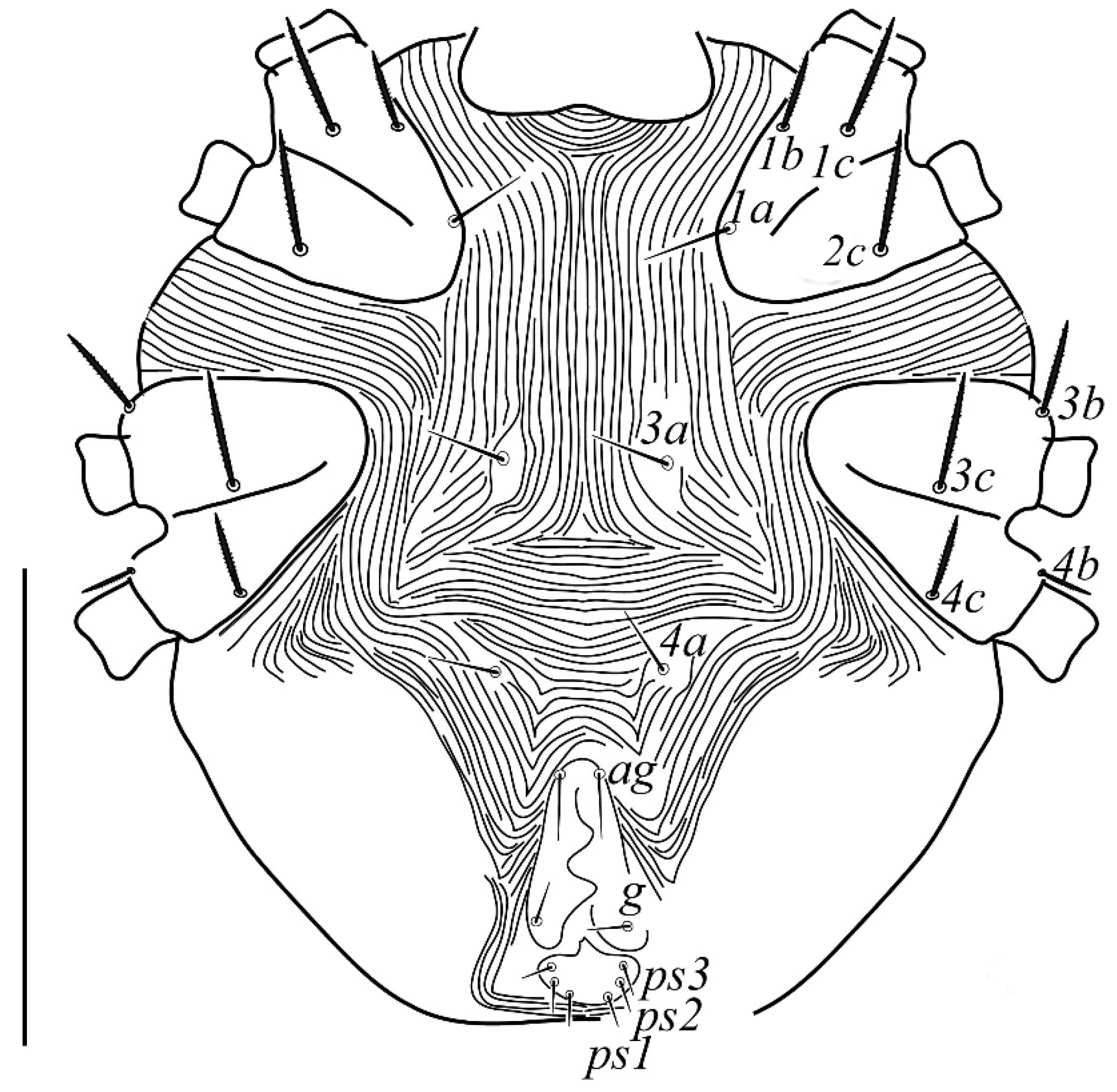 Insects 13 00344 g004