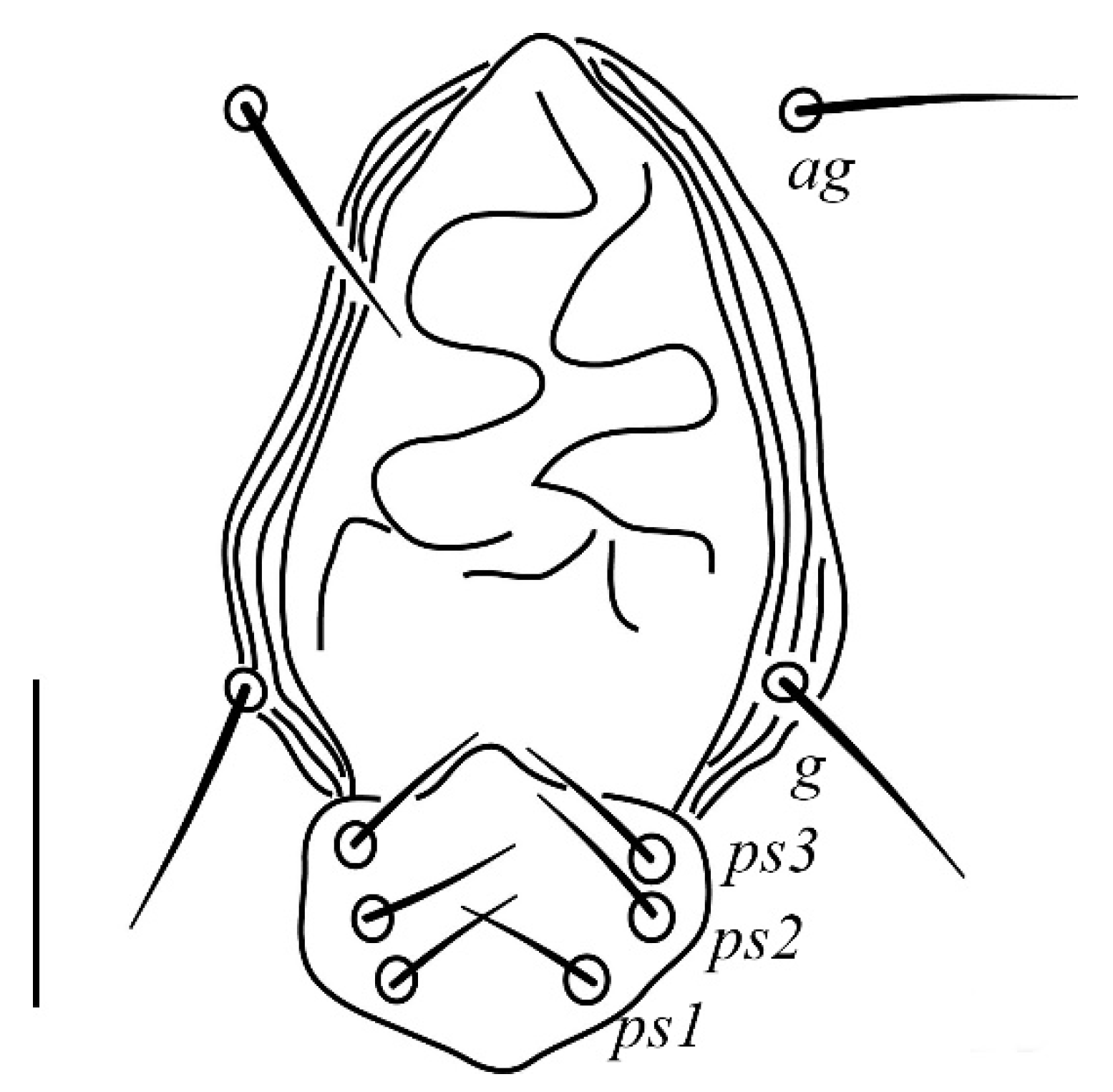 Insects 13 00344 g013