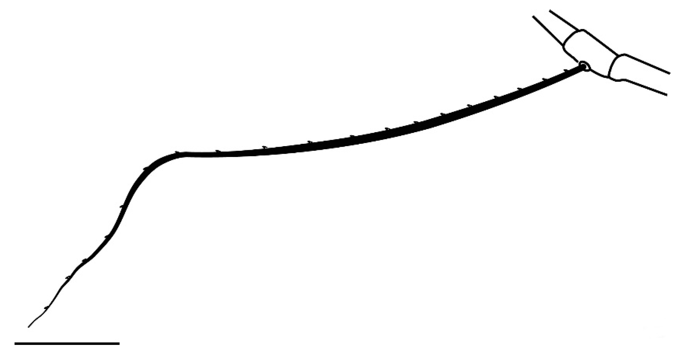 Insects 13 00344 g016