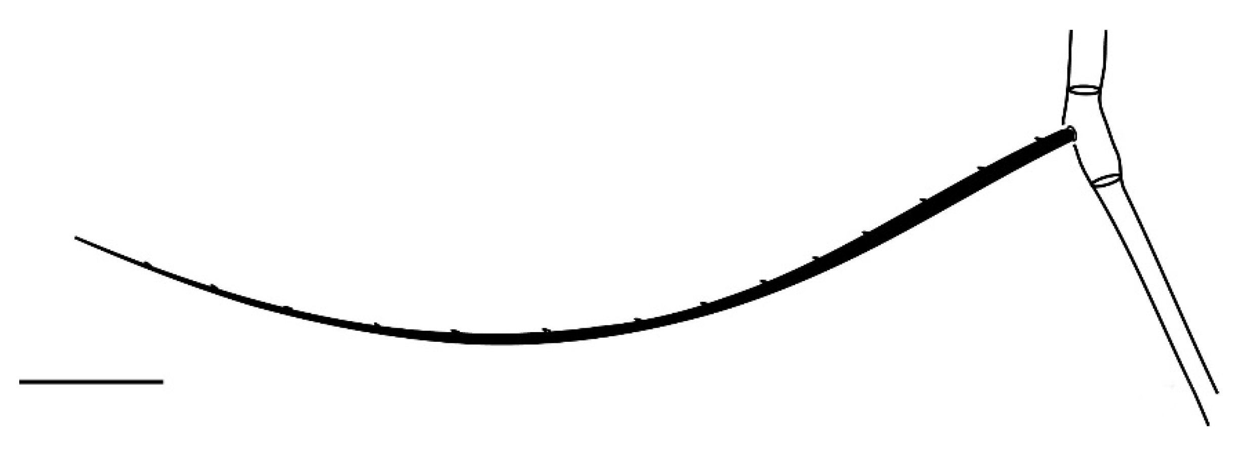 Insects 13 00344 g017