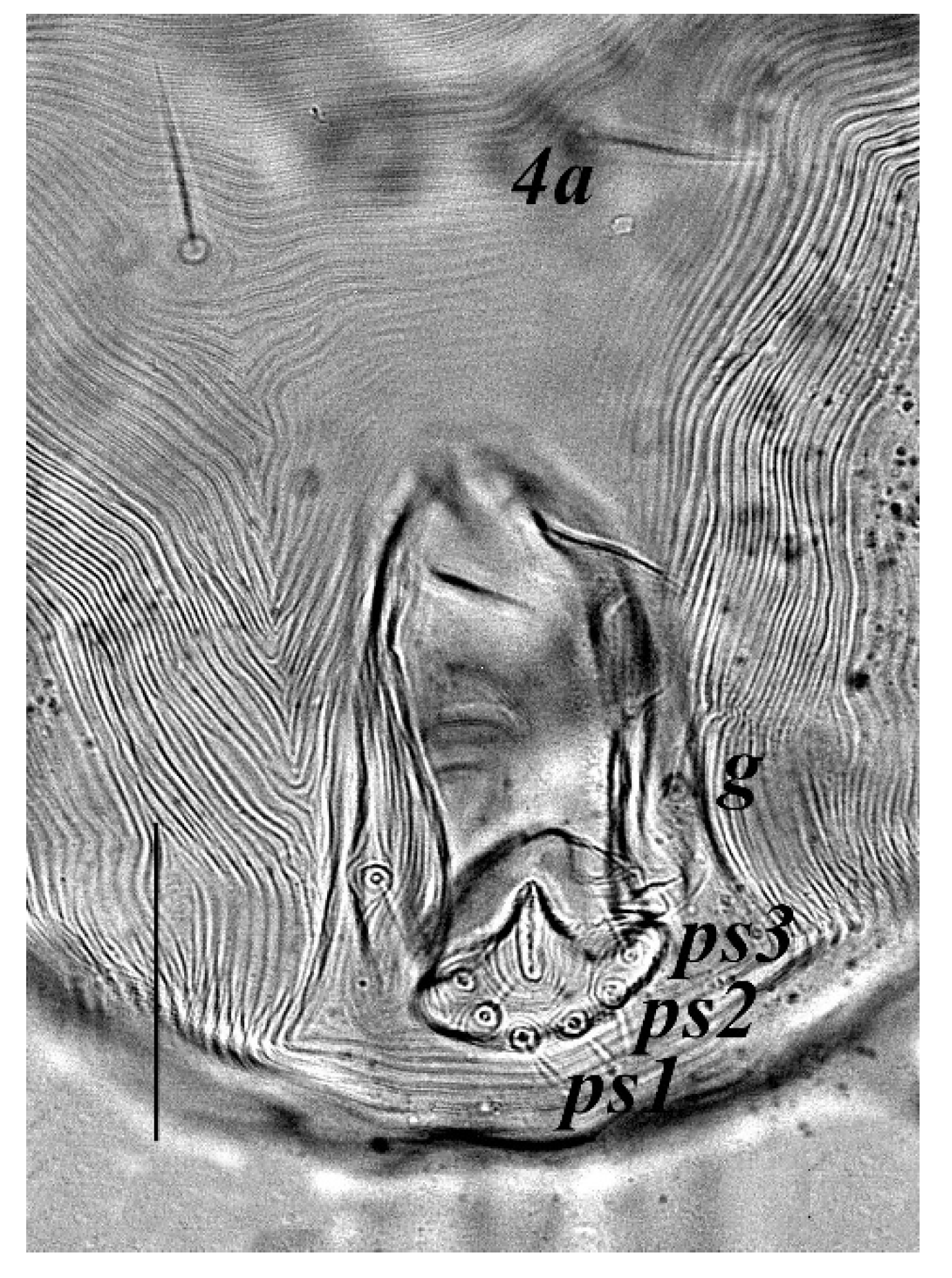 Insects 13 00344 g021