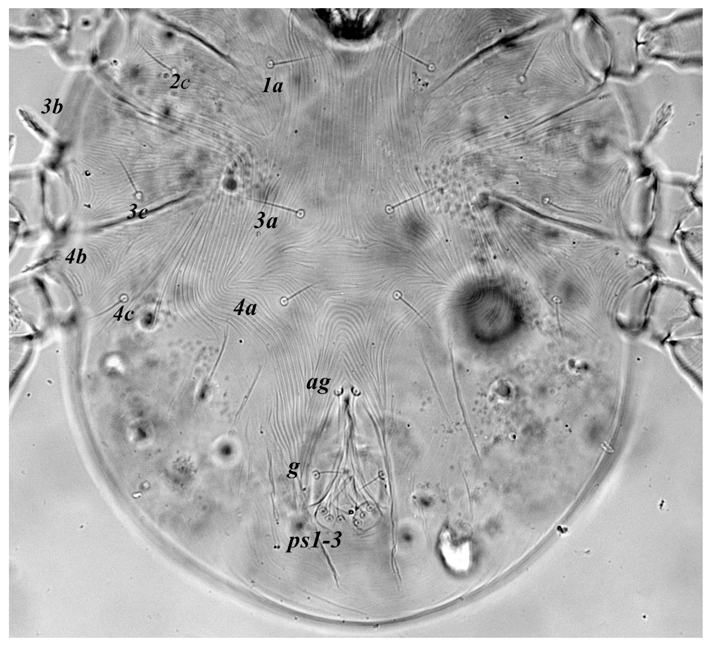 Insects 13 00344 g026