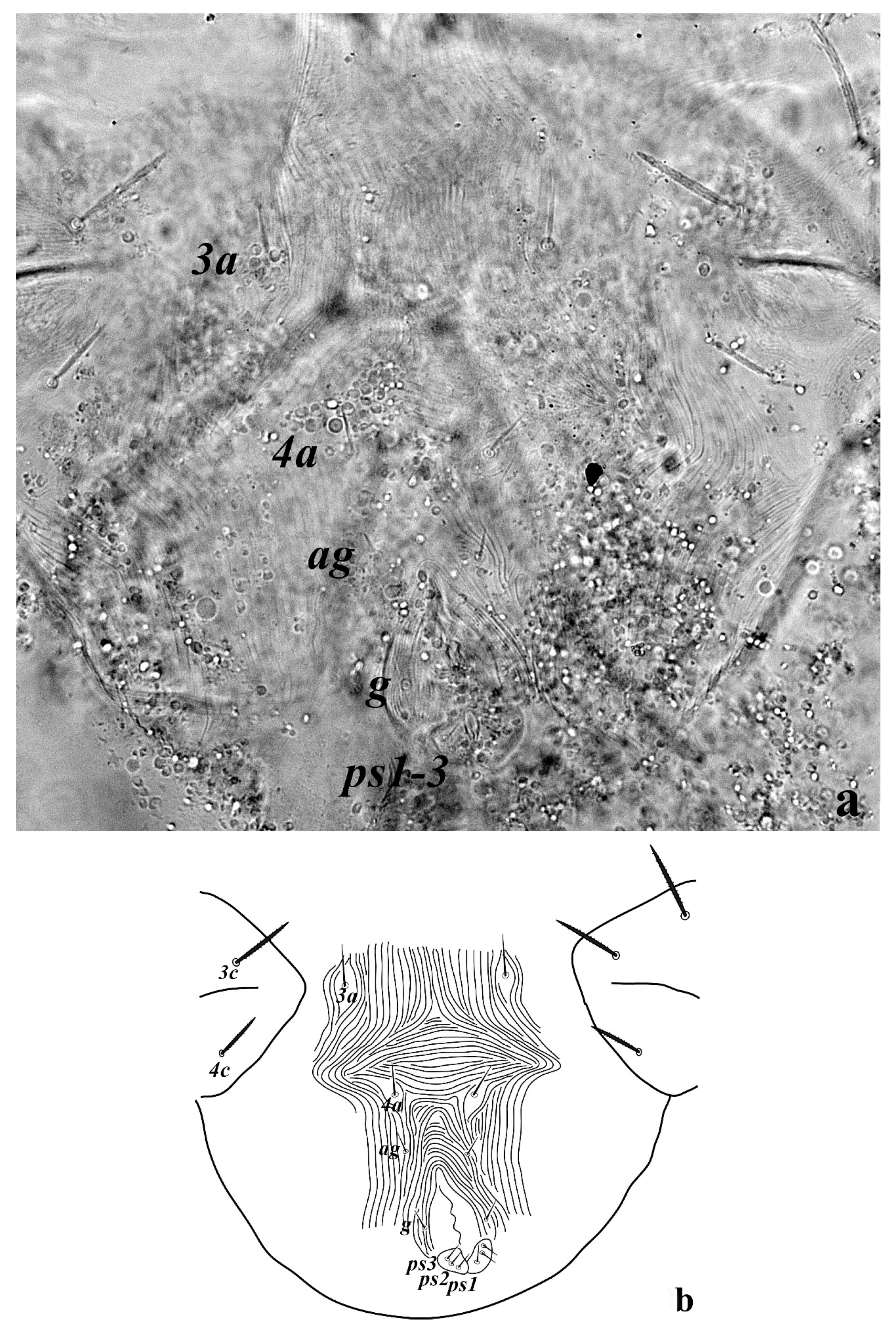Insects 13 00344 g030