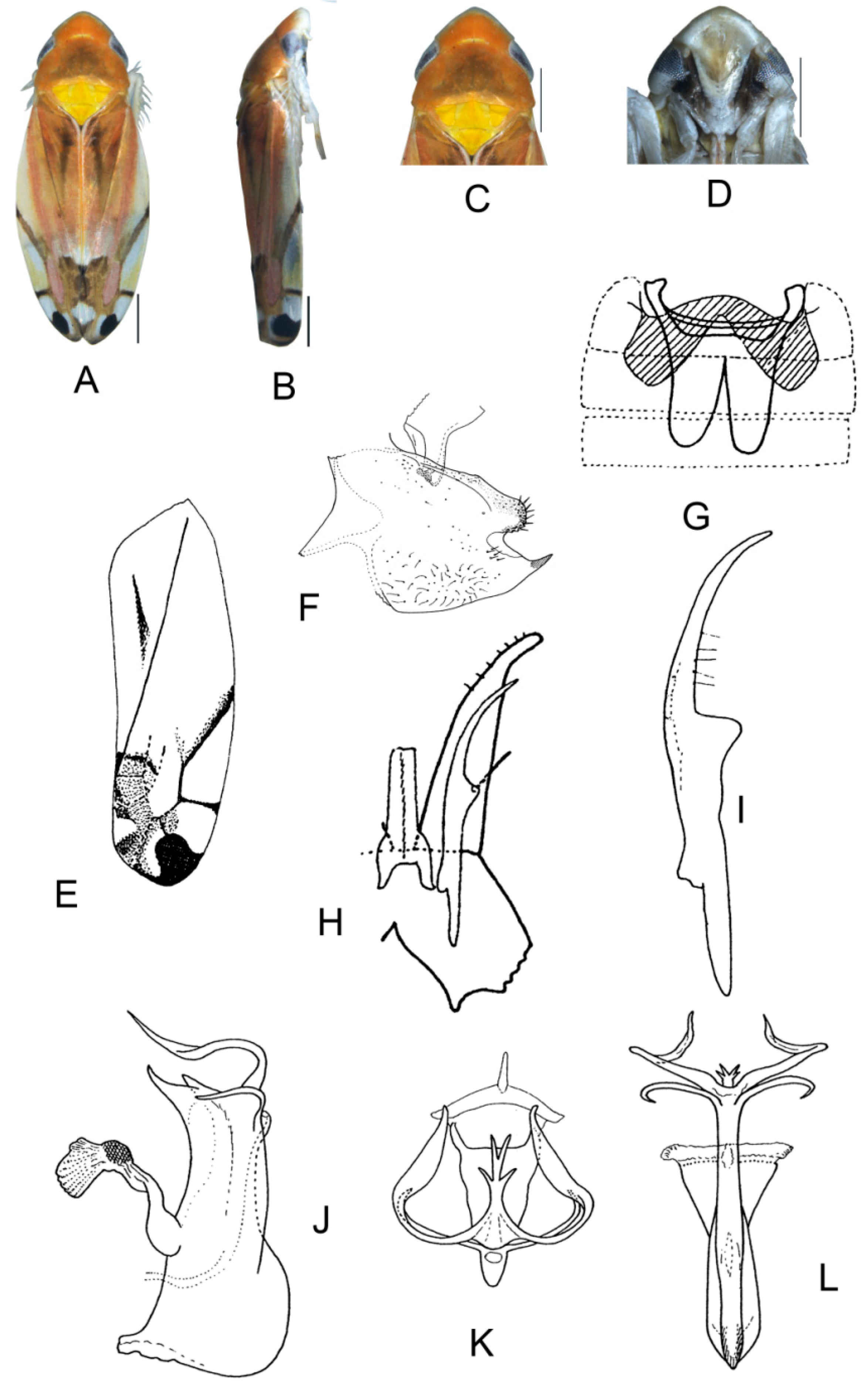 Insects 13 00345 g005 550