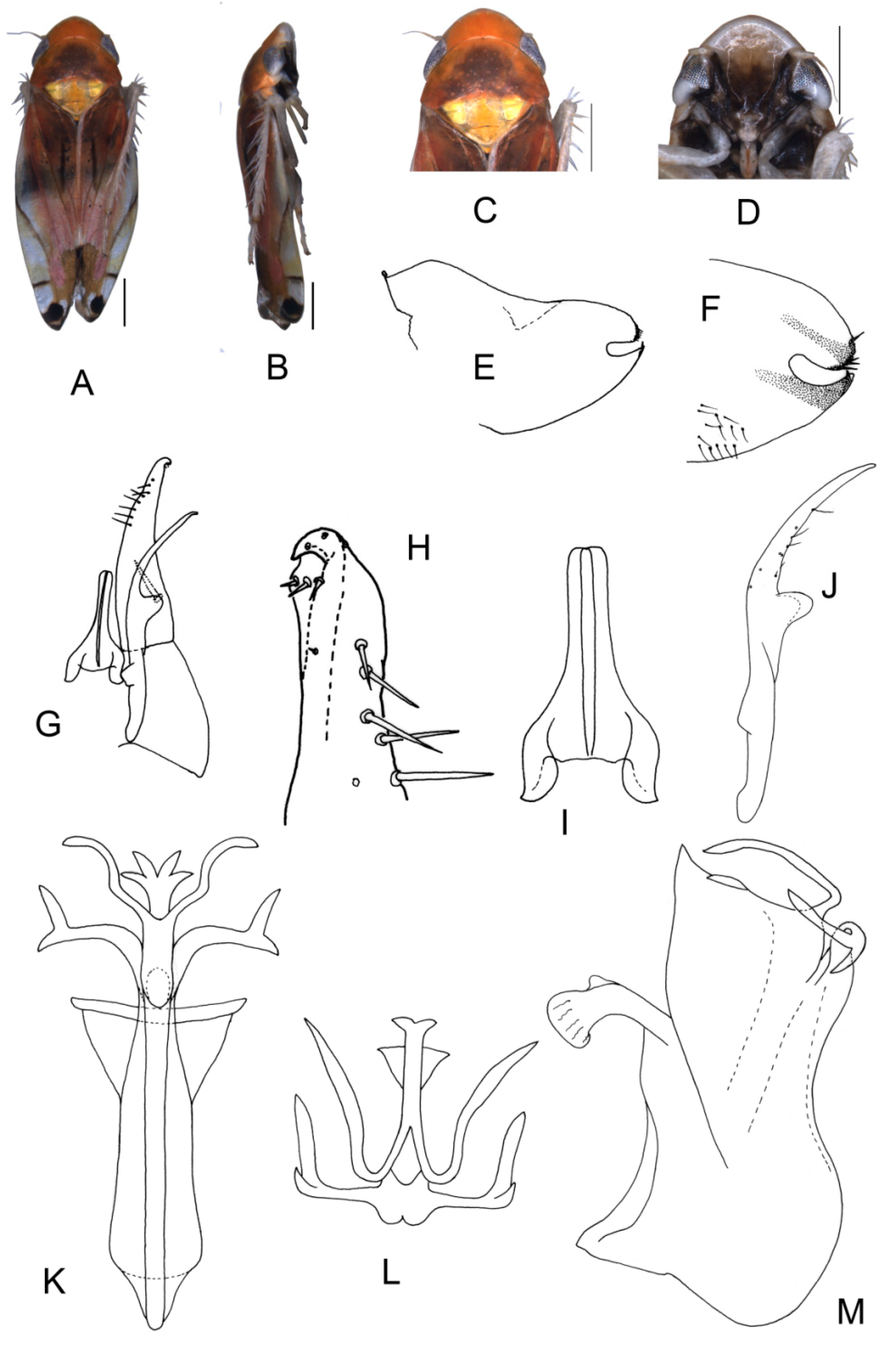 Insects 13 00345 g006 550