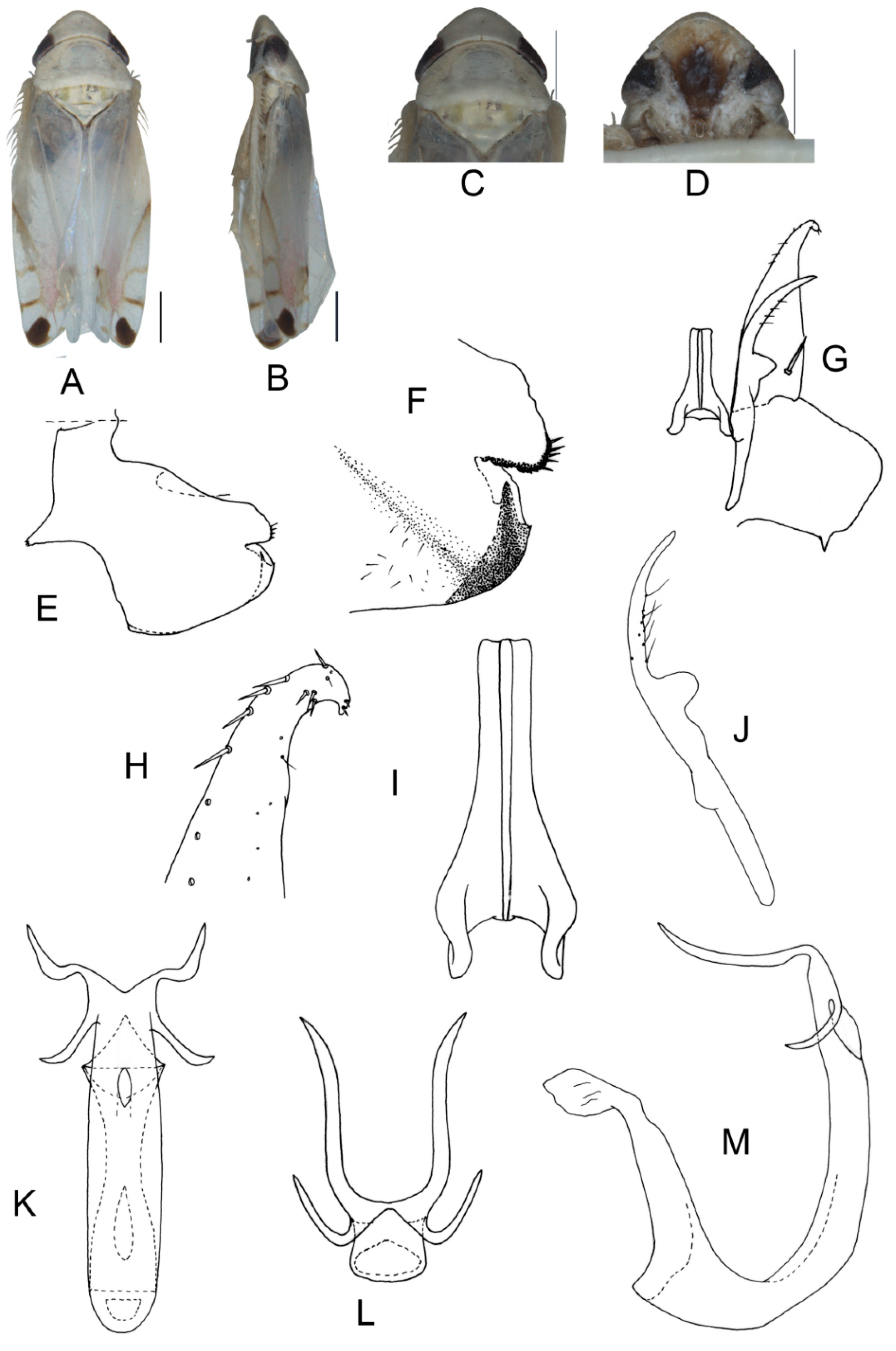 Insects 13 00345 g008 550