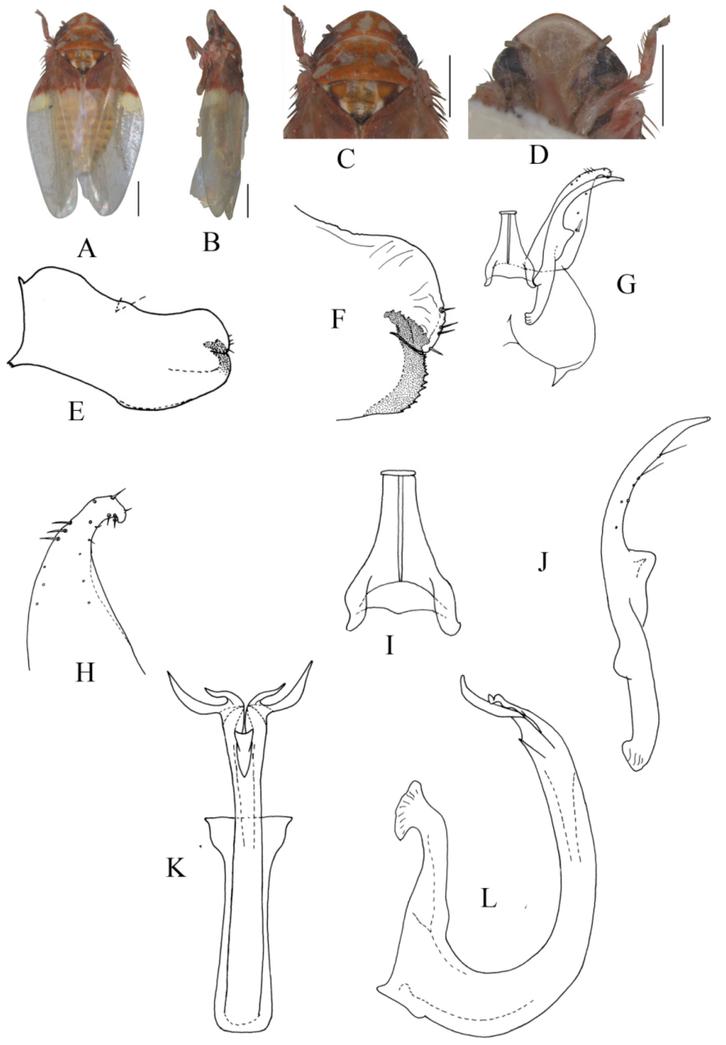 Insects 13 00345 g009 550