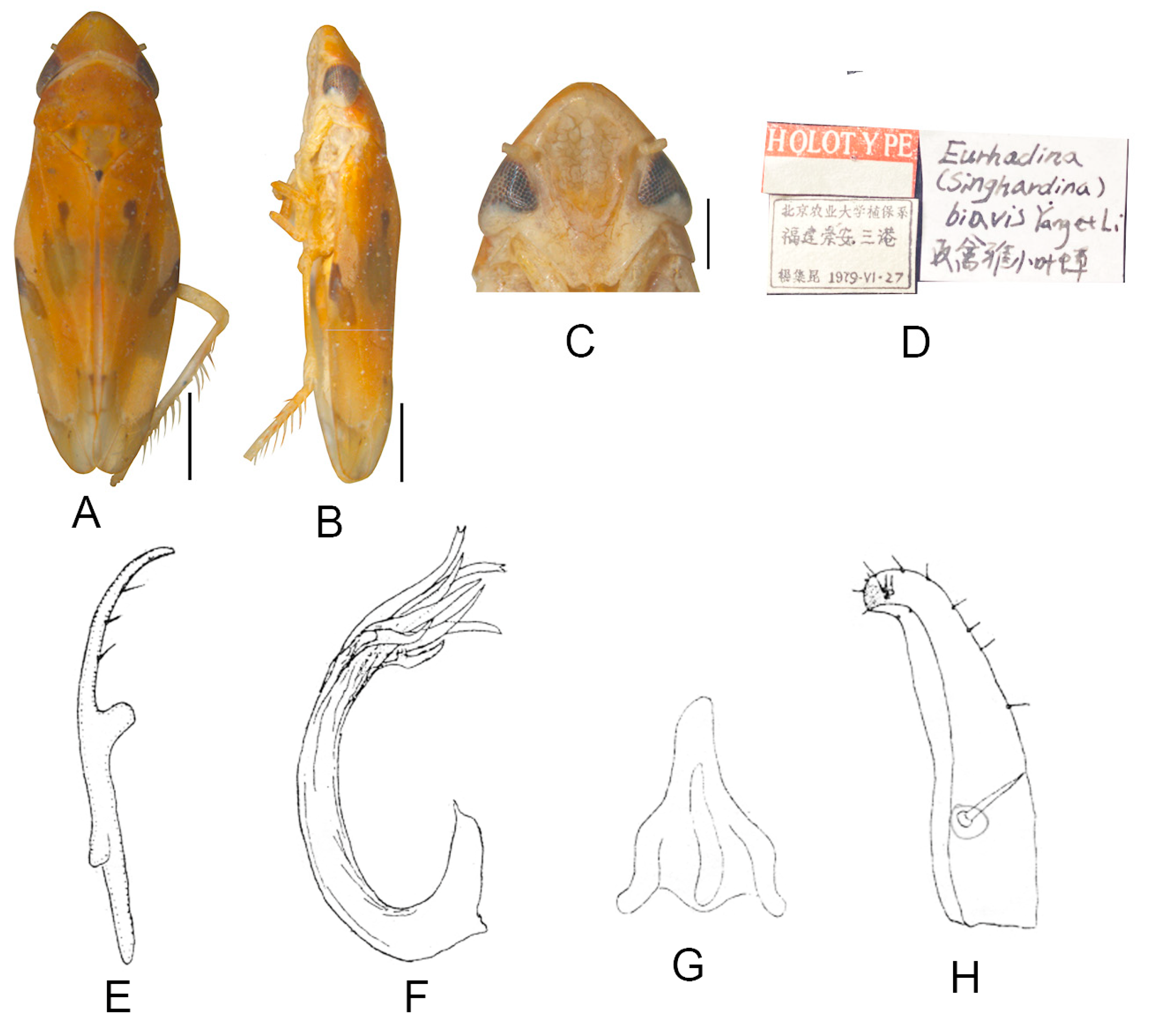 Insects 13 00345 g011 550