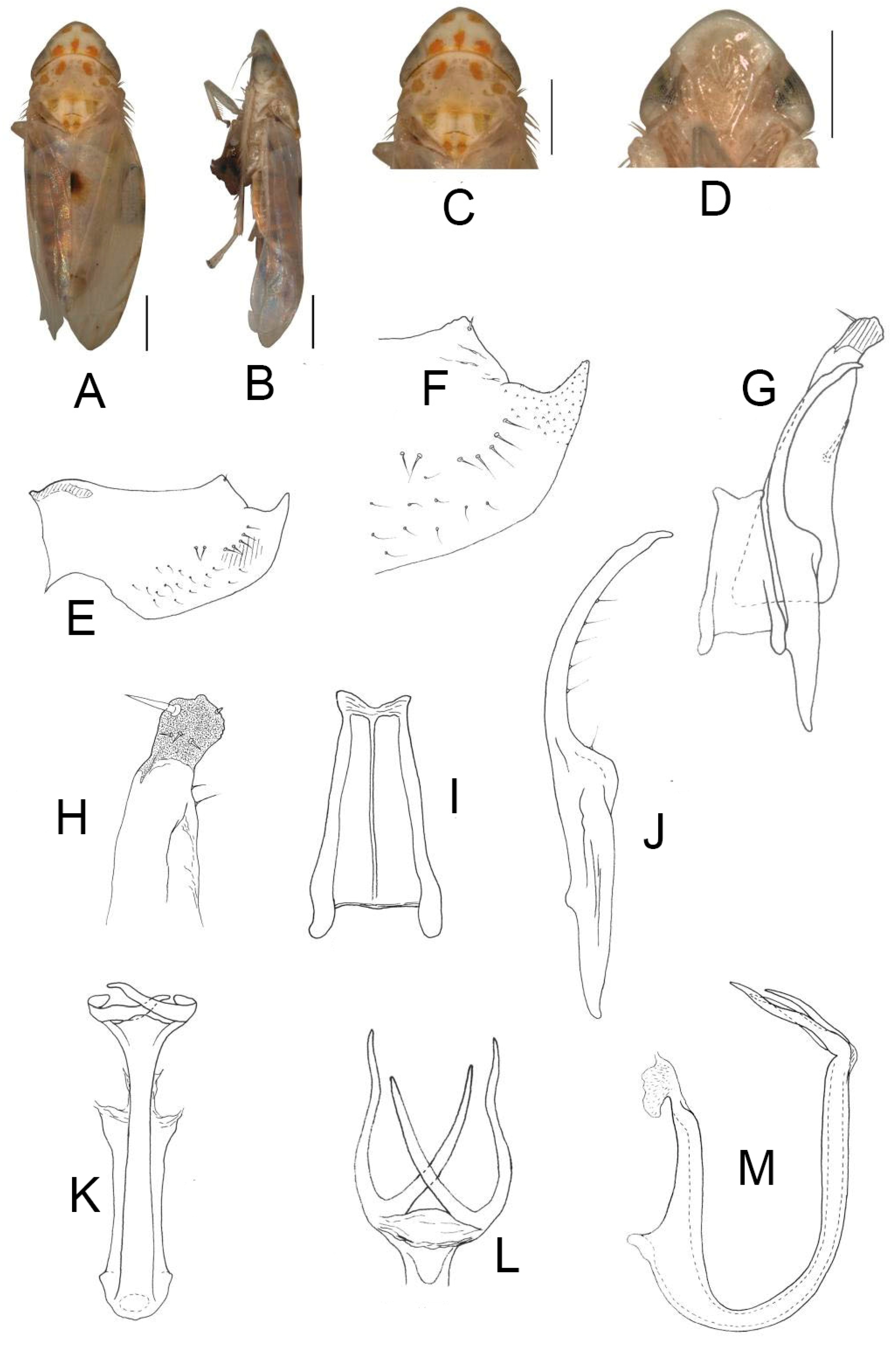 Insects 13 00345 g012 550